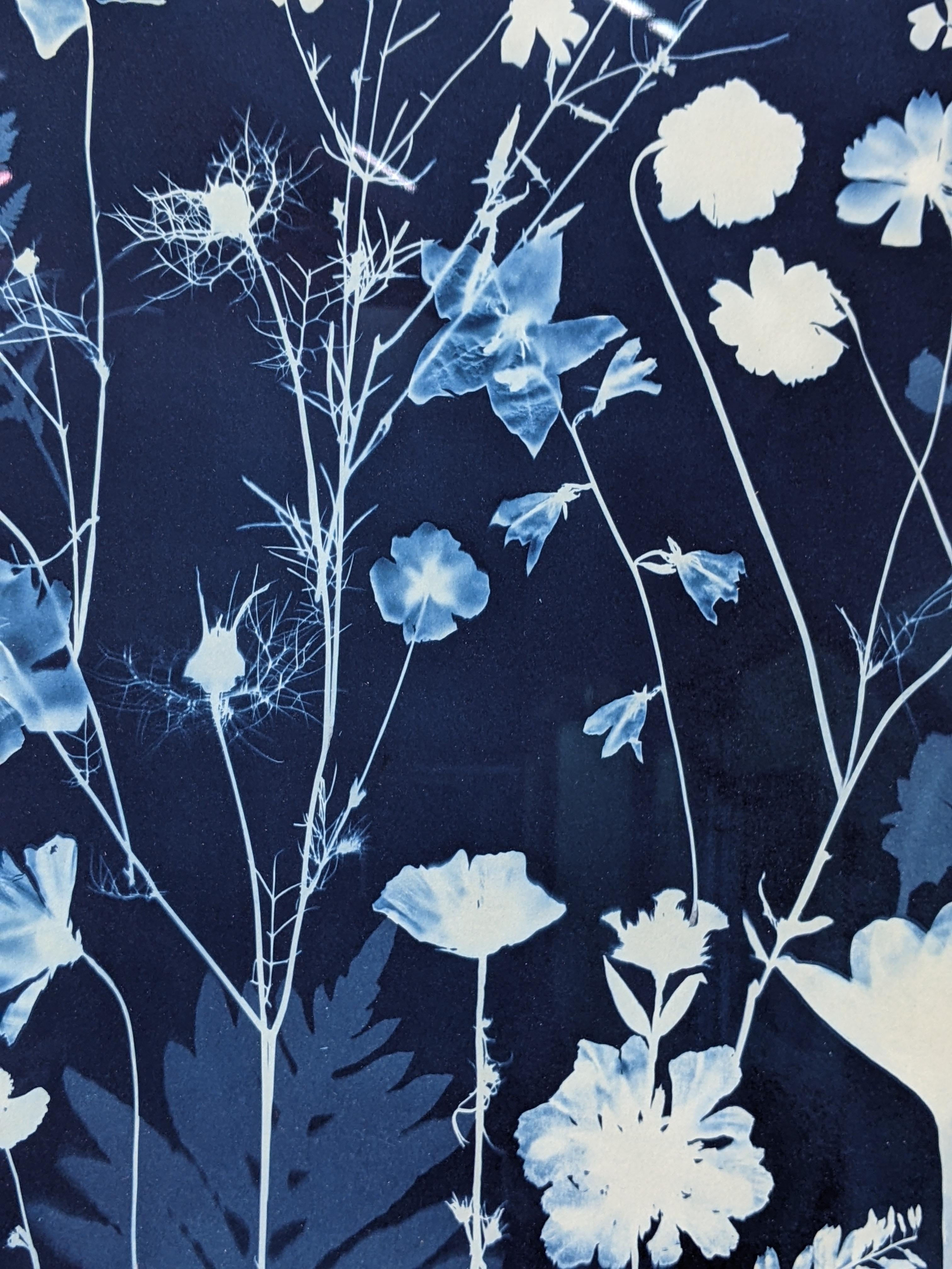 Cyanotype Painting Crocus, Star Flower, Cosmos, Ferns, Botanical Painting, Blue For Sale 10