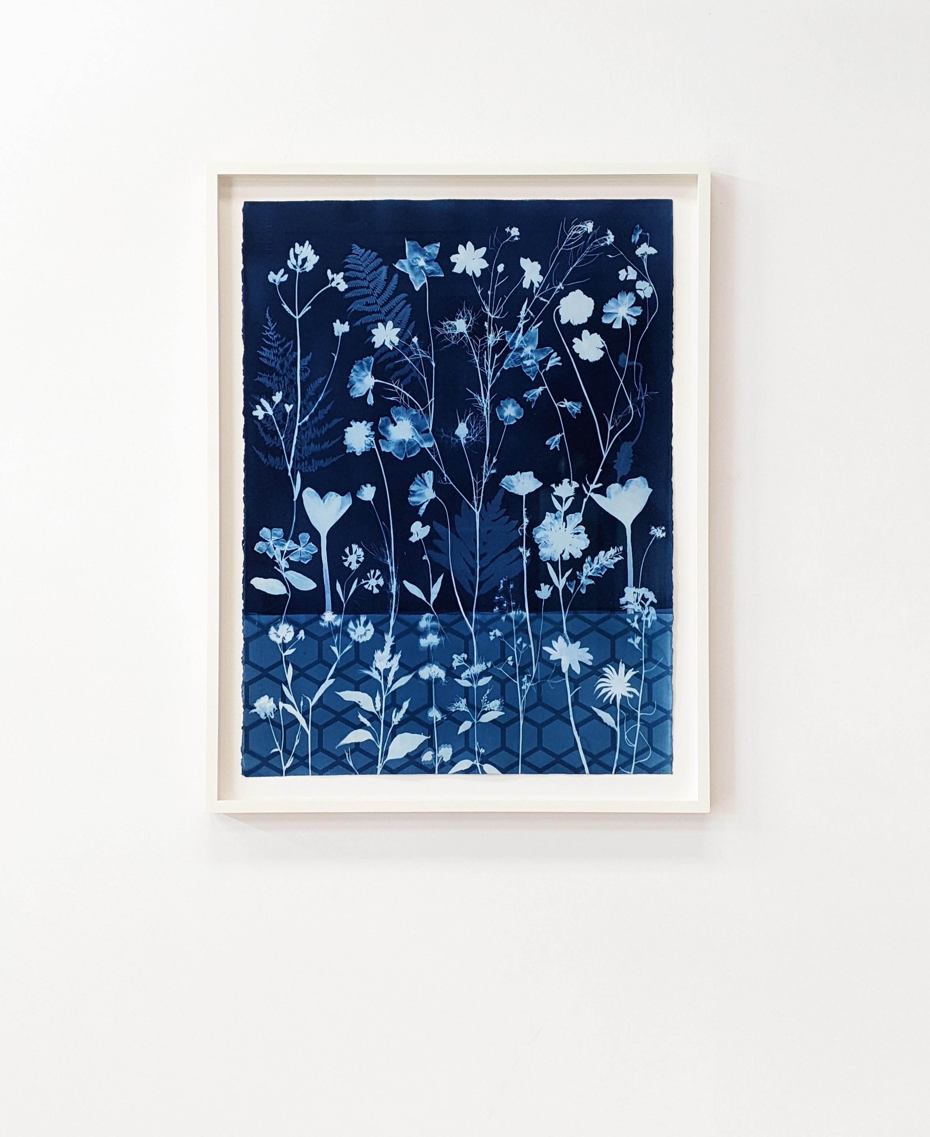 Cyanotype Painting Crocus, Star Flower, Cosmos, Ferns, Botanical Painting, Blue For Sale 15