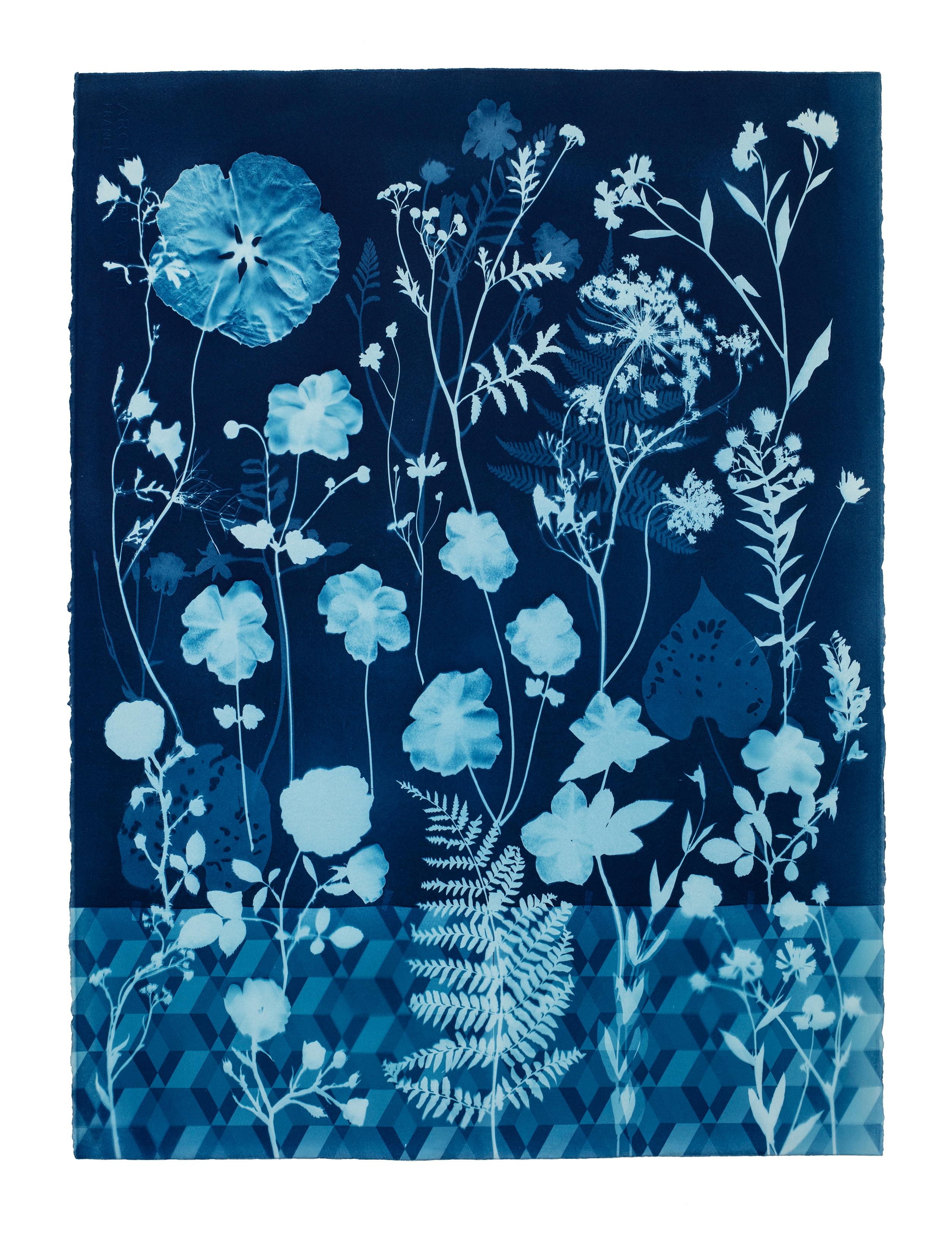 Cyanotype Painting Anemones, Rose of Sharon, Botanical Painting, Indigo Blue - Art by Julia Whitney Barnes