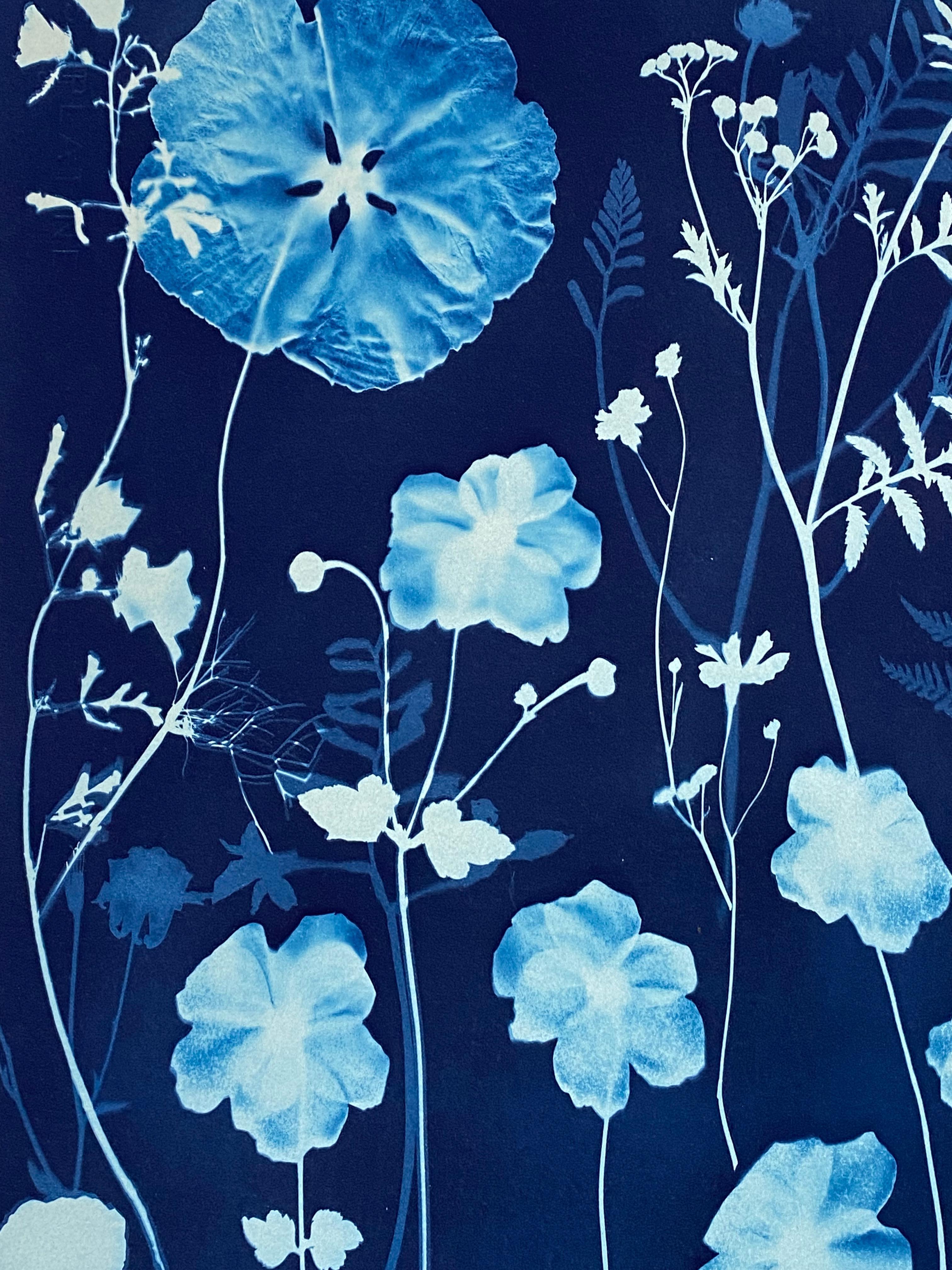 Cyanotype Painting Anemones, Rose of Sharon, Botanical Painting, Indigo Blue For Sale 6