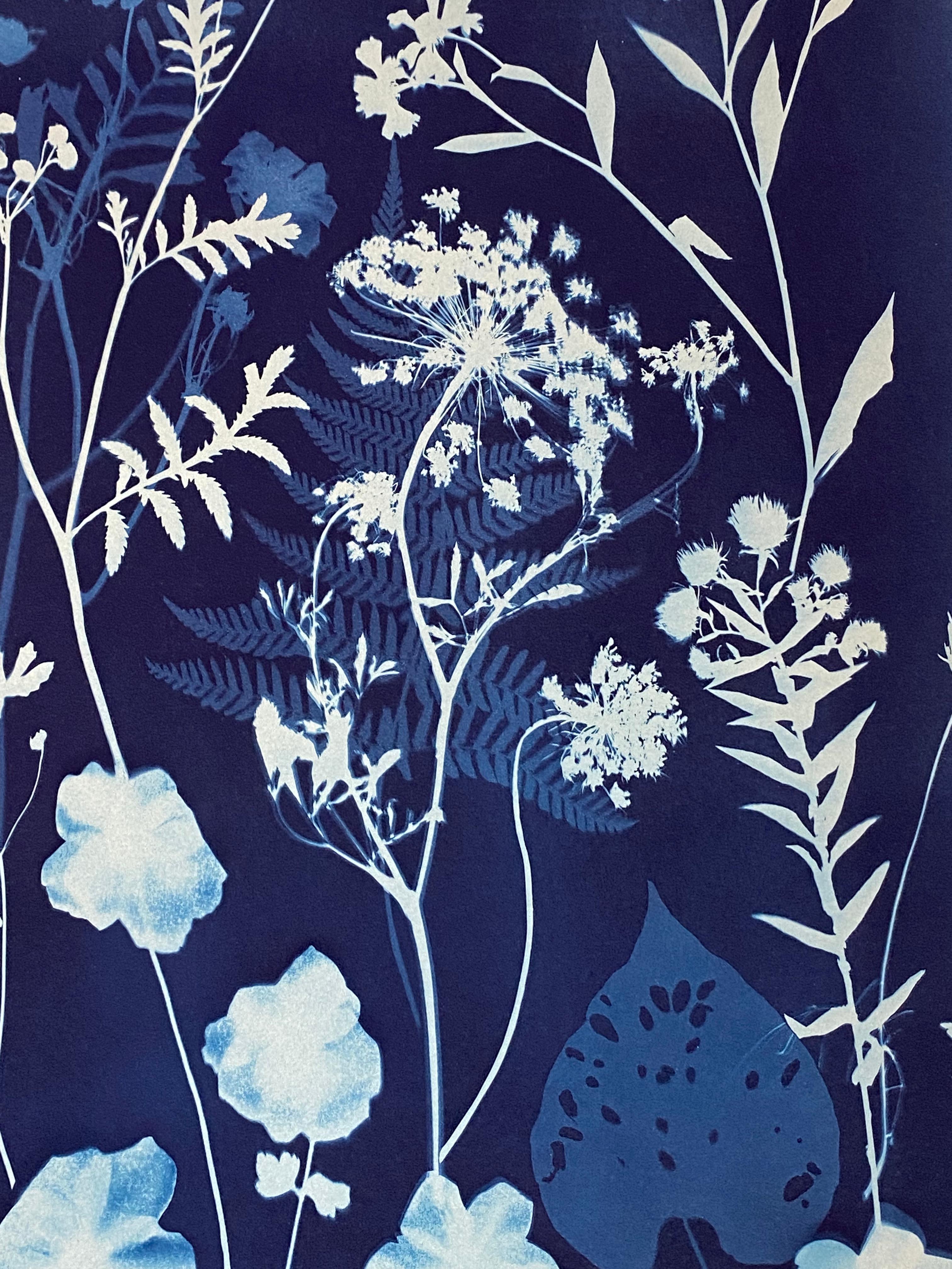 Cyanotype Painting Anemones, Rose of Sharon, Botanical Painting, Indigo Blue For Sale 7