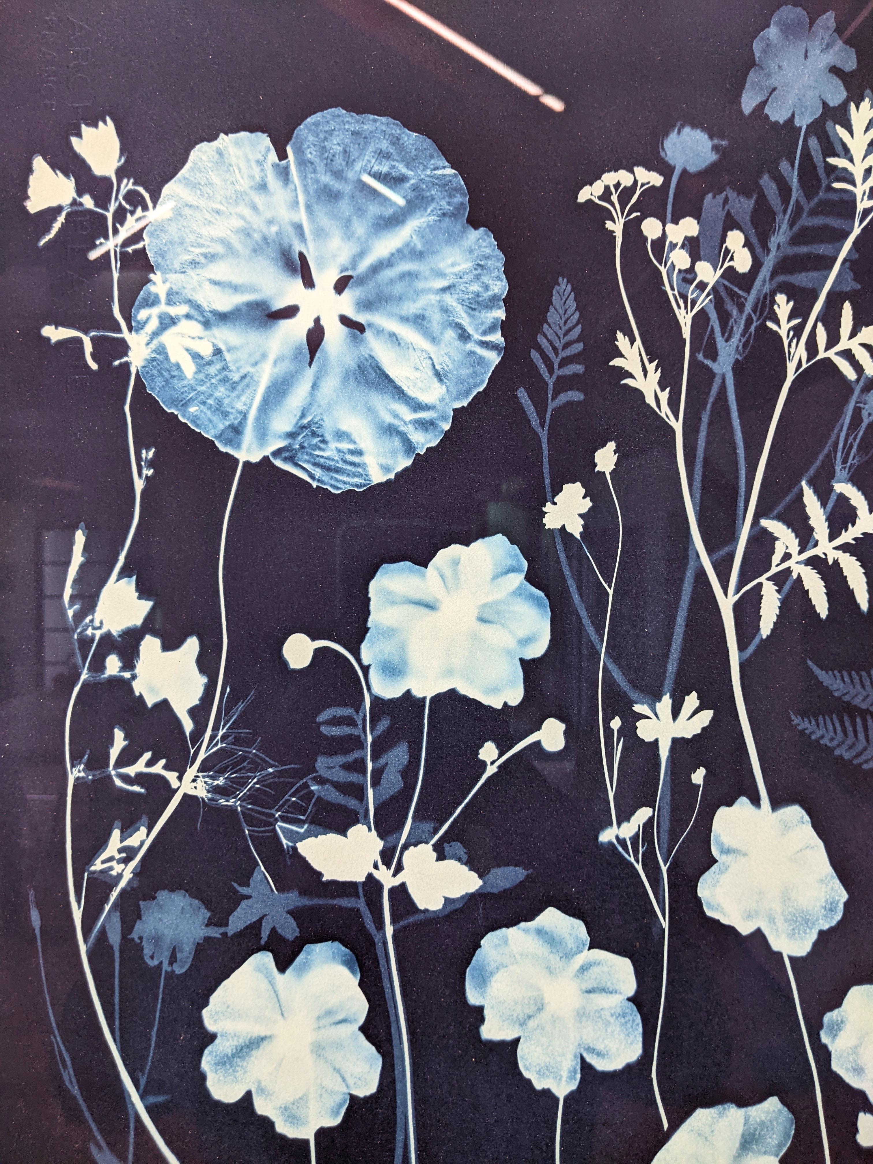 Cyanotype Painting Anemones, Rose of Sharon, Botanical Painting, Indigo Blue For Sale 8