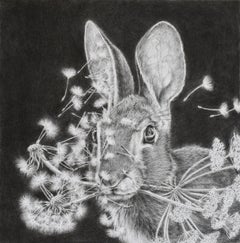Multiply and Divide, Dandelions, Bunny Rabbit, Animal, Gray, Black