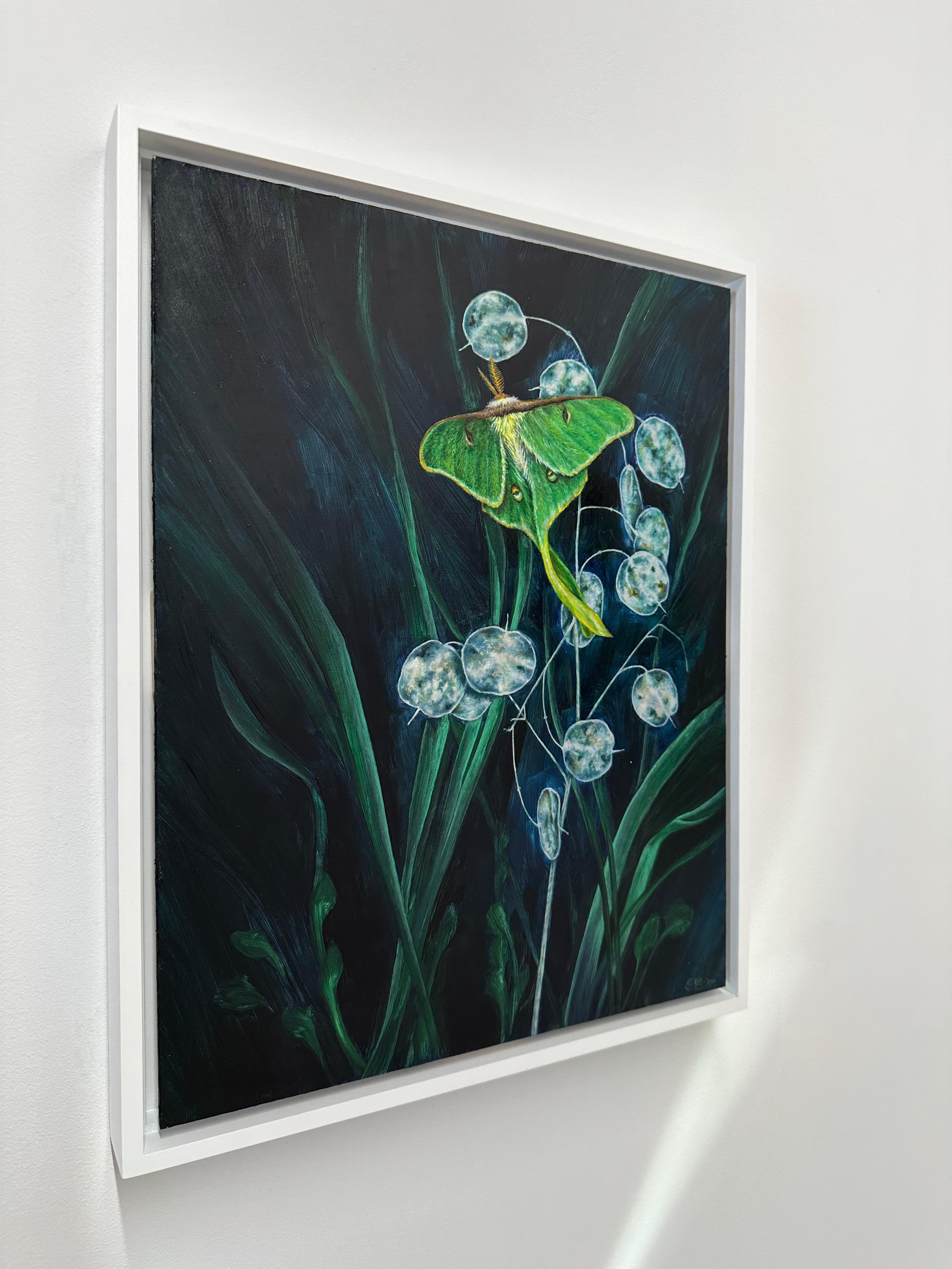 A Week's Worth, Botanical, Insect Painting, Green Luna Moth, Dark Leaves, Cobalt For Sale 3