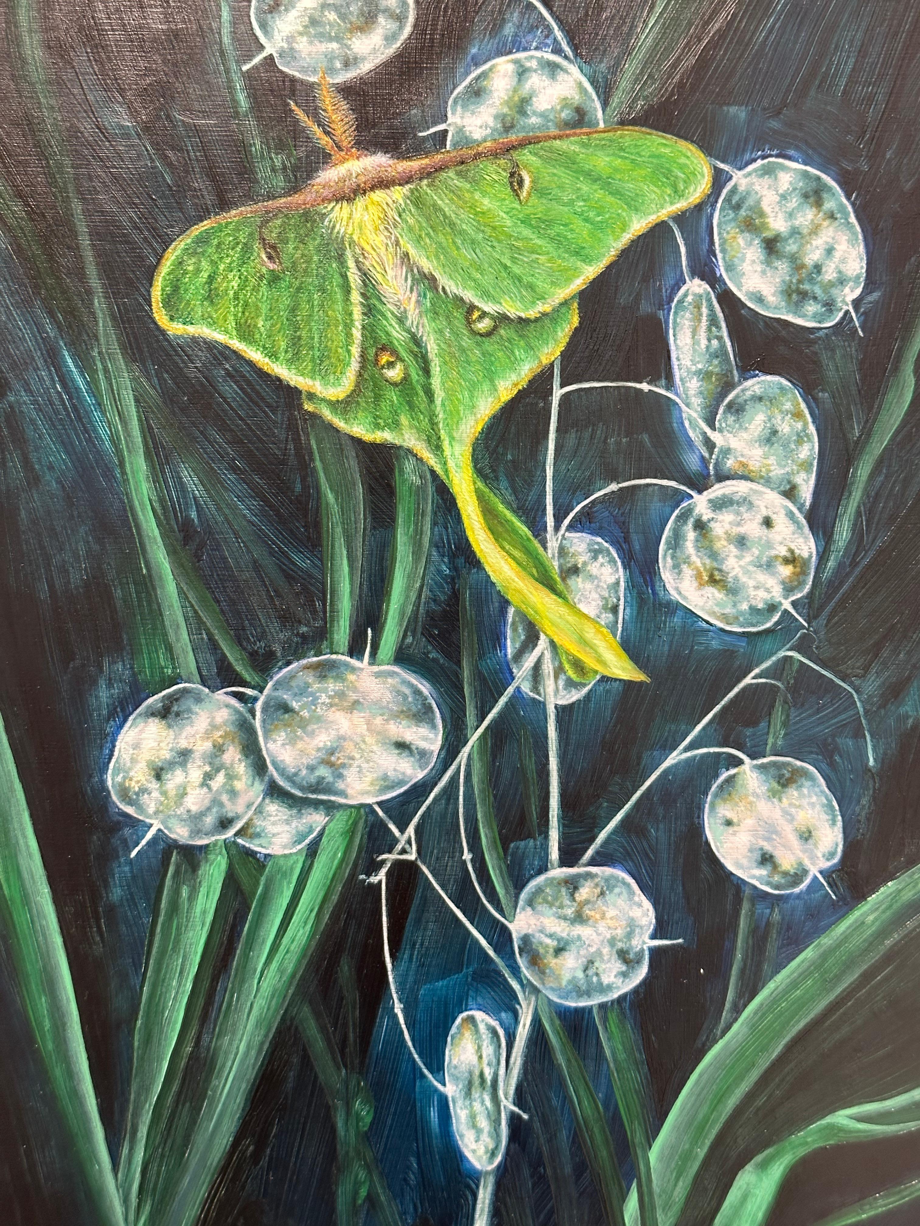 A Week's Worth, Botanical, Insect Painting, Green Luna Moth, Dark Leaves, Cobalt For Sale 4