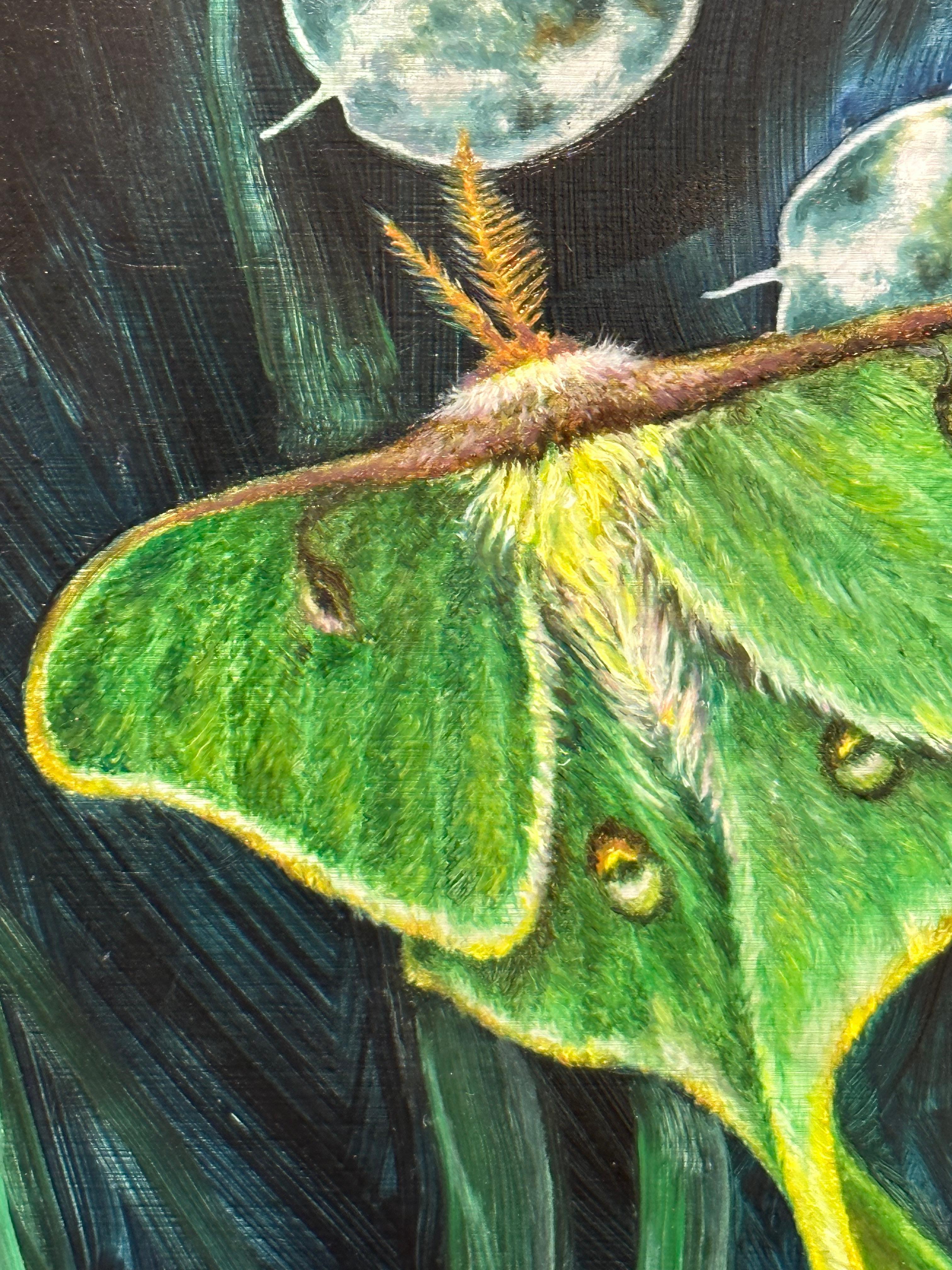 A Week's Worth, Botanical, Insect Painting, Green Luna Moth, Dark Leaves, Cobalt For Sale 7
