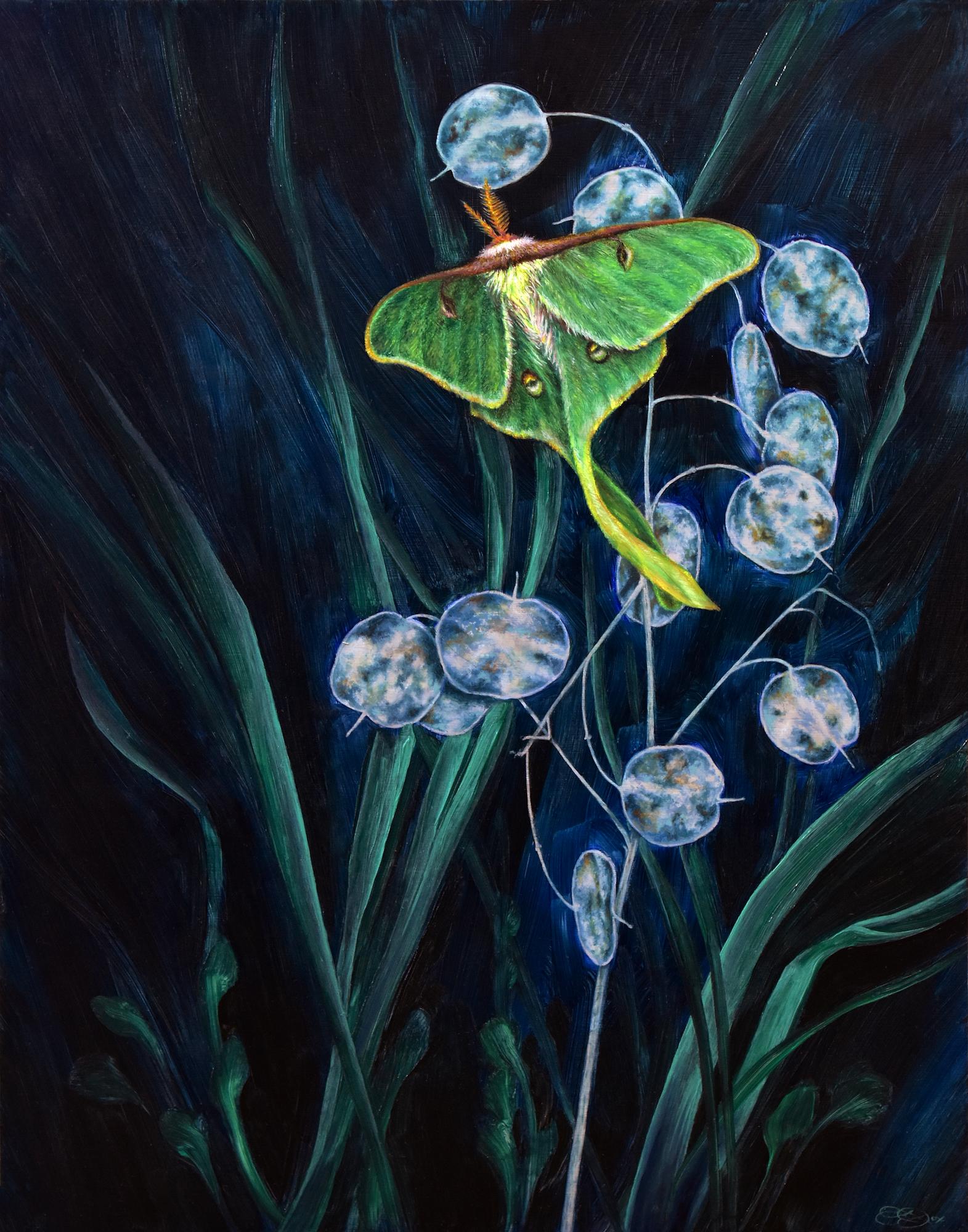 A Week's Worth, Botanical, Insect Painting, Green Luna Moth, Dark Leaves, Cobalt - Art by Francine Fox