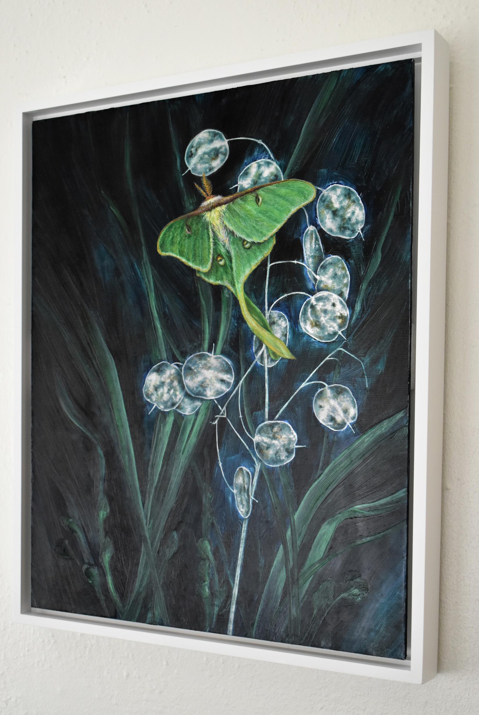 A Week's Worth, Botanical, Insect Painting, Green Luna Moth, Dark Leaves, Cobalt For Sale 13