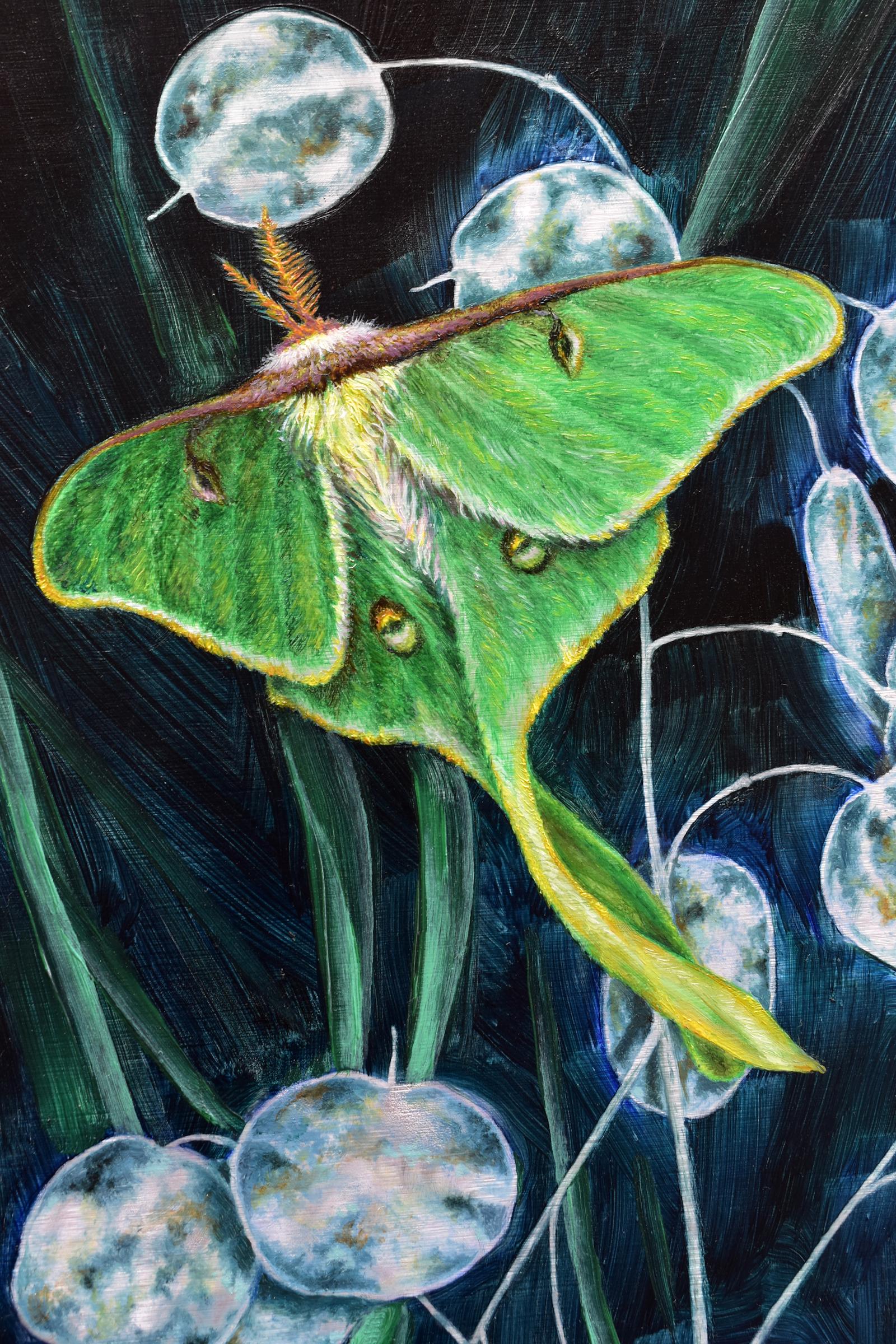 A Week's Worth, Botanical, Insect Painting, Green Luna Moth, Dark Leaves, Cobalt - Contemporary Art by Francine Fox