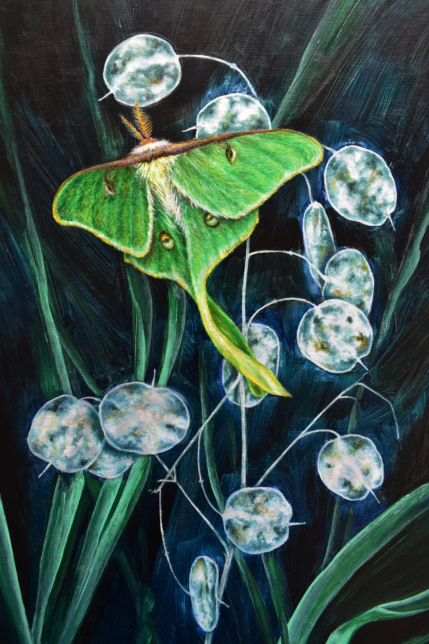 This botanical, insect painting in oil on aluminum depicts a bright green luna moth against a dark background with layered plants, stems and leaves. Fox's excellent use of material allow her to blend multiple images together, creating a seamless