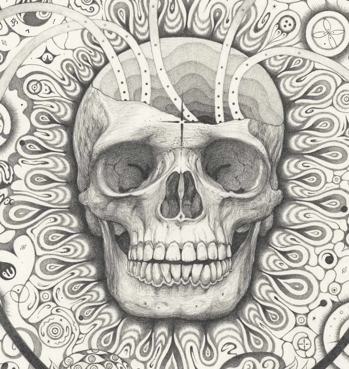 Snowflakes 155 Awareness, Skull and Planets, Graphite Pencil Drawing, Mandala For Sale 1