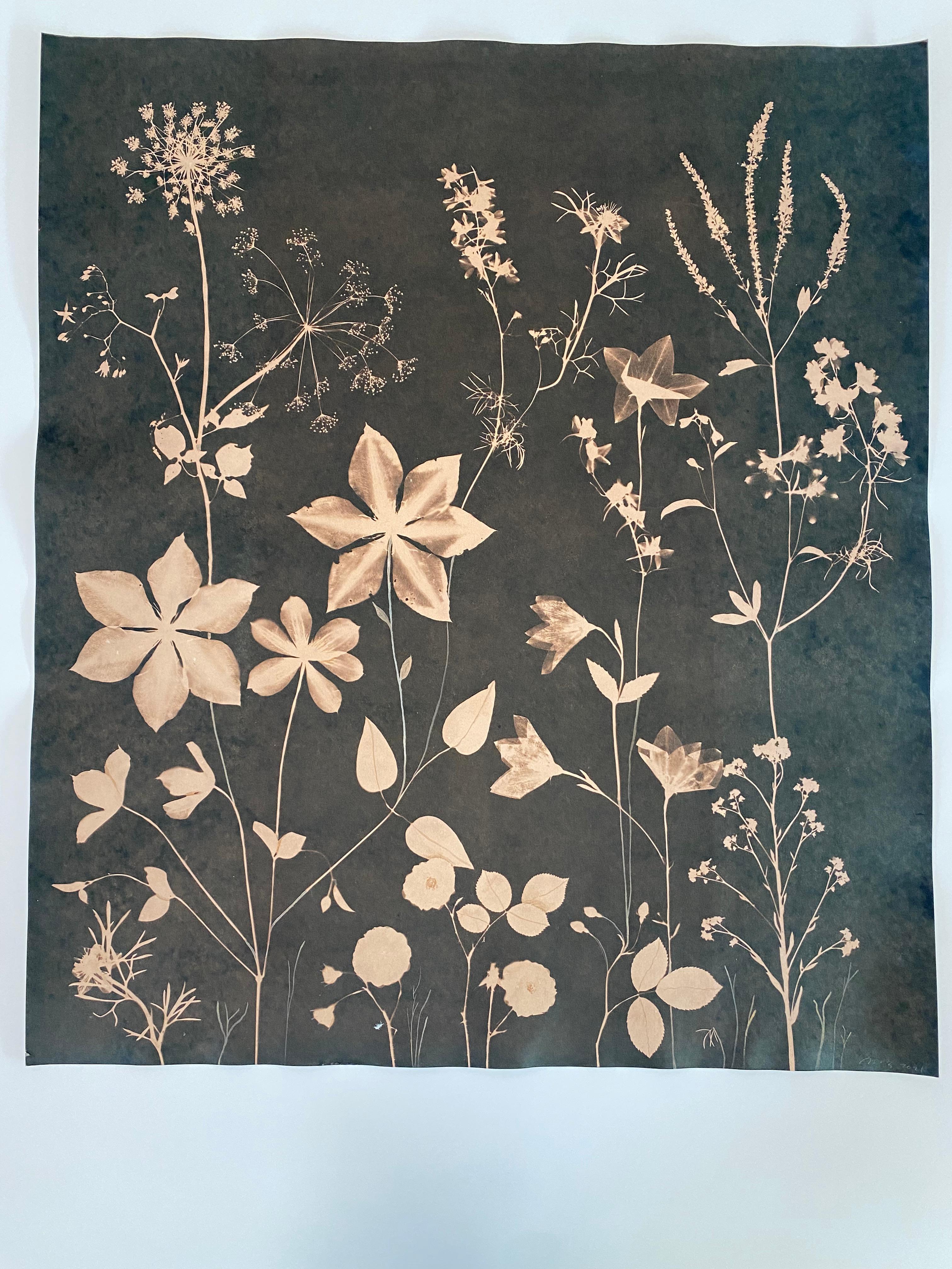 Cyanotype Painting Tea Toned Clematis, Queen Annes Lace Siena Botanical Painting - Contemporary Art by Julia Whitney Barnes