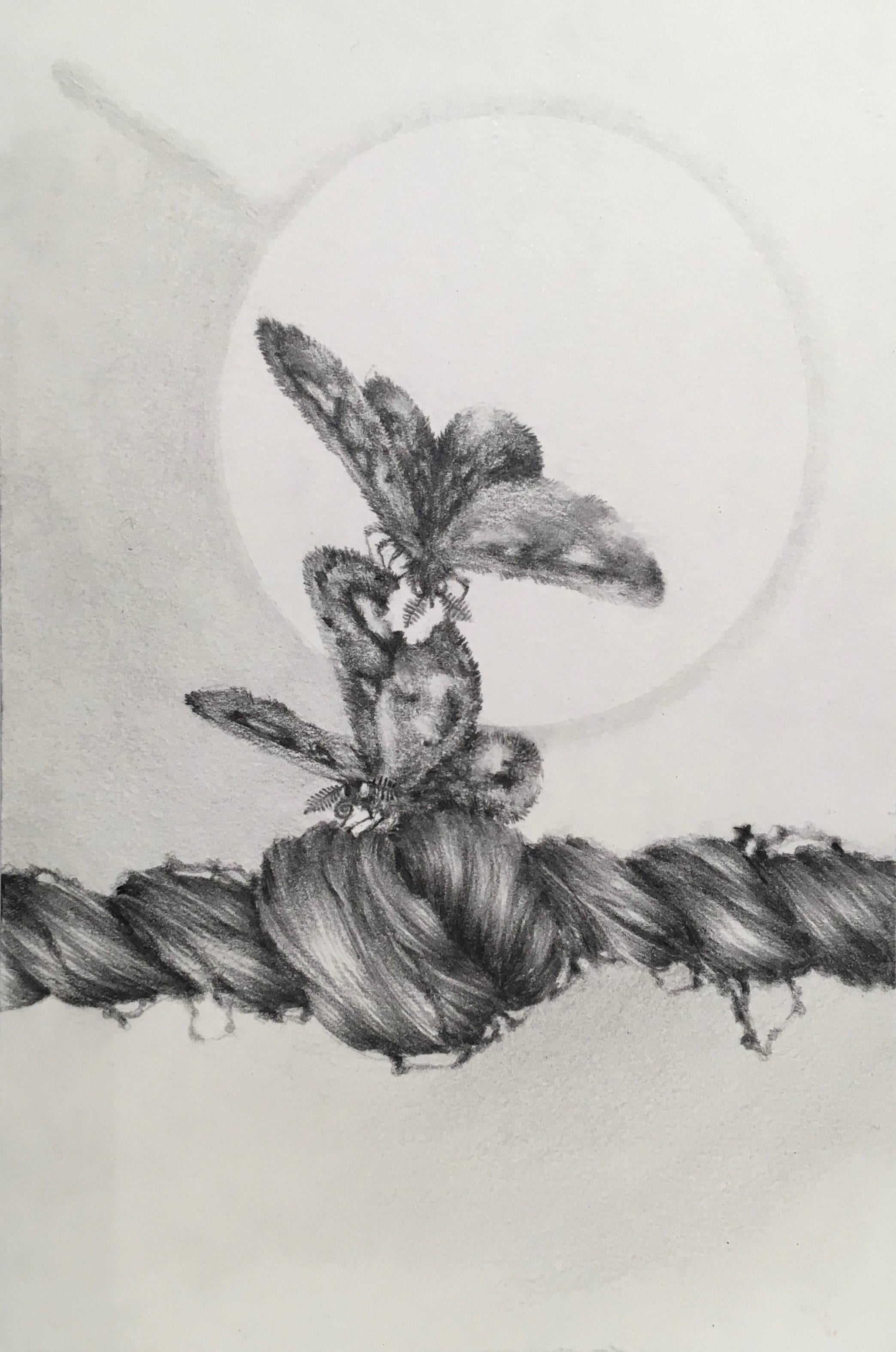 Francine Fox Abstract Drawing – Chapter Fine Focus, Two Moths and Woman's Hair Twist, Kleine Bleistiftzeichnung