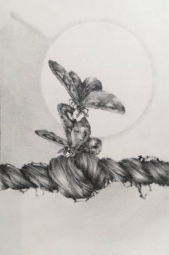 Chapter Fine Focus, Two Moths and Woman's Hair Twist, petit dessin au crayon
