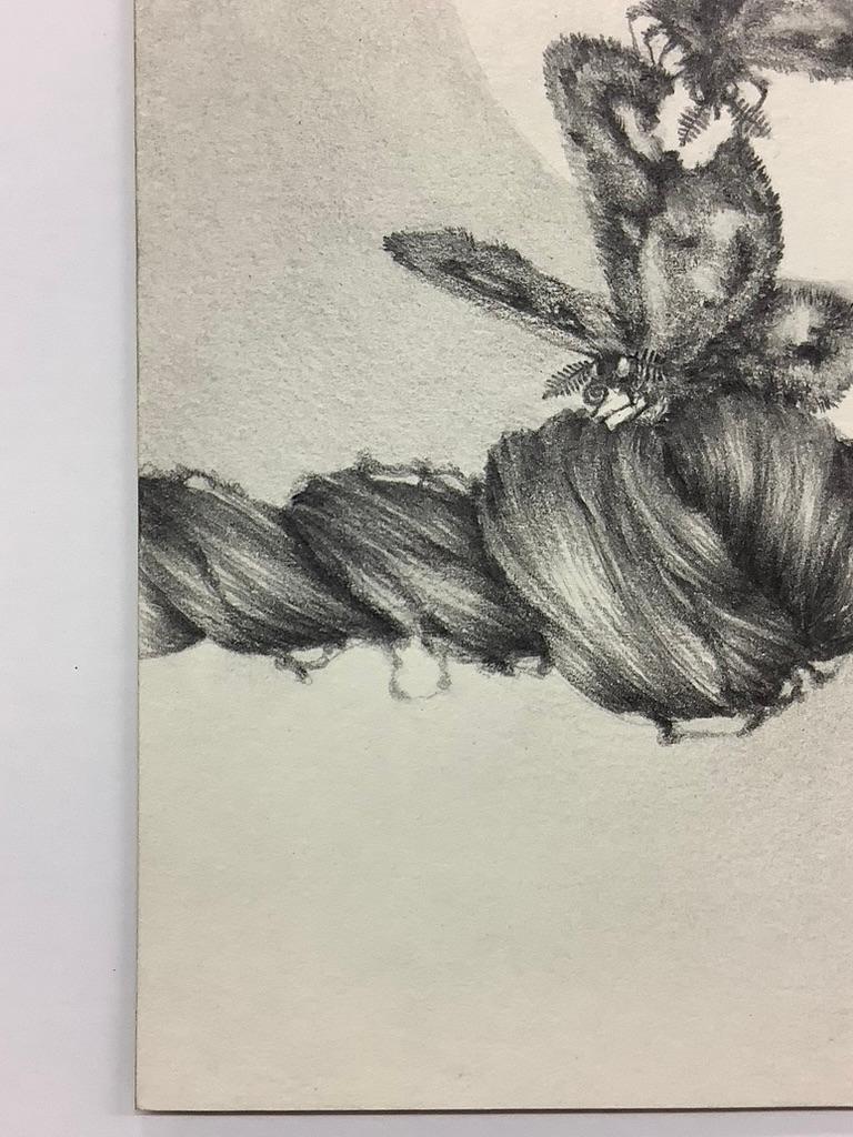 Chapter Fine Focus, Two Moths and Woman's Hair Twist, Small Pencil Drawing - Art by Francine Fox