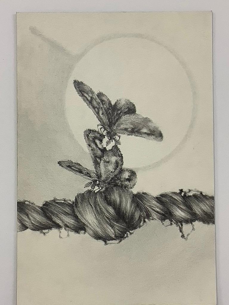 Chapter Fine Focus, Two Moths and Woman's Hair Twist, Kleine Bleistiftzeichnung (Zeitgenössisch), Art, von Francine Fox