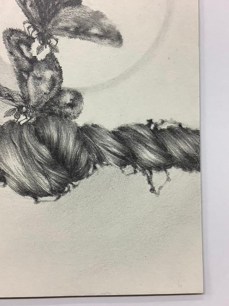 Chapter Fine Focus, Two Moths and Woman's Hair Twist, Small Pencil Drawing For Sale 1