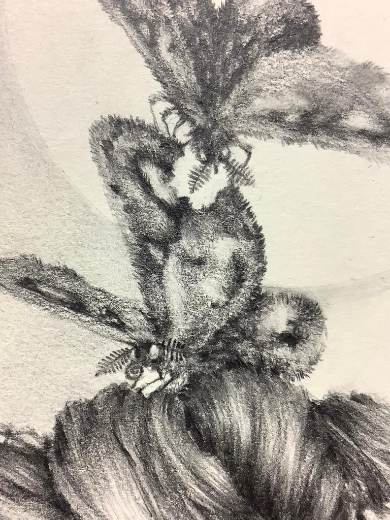 Chapter Fine Focus, Two Moths and Woman's Hair Twist, Small Pencil Drawing For Sale 2