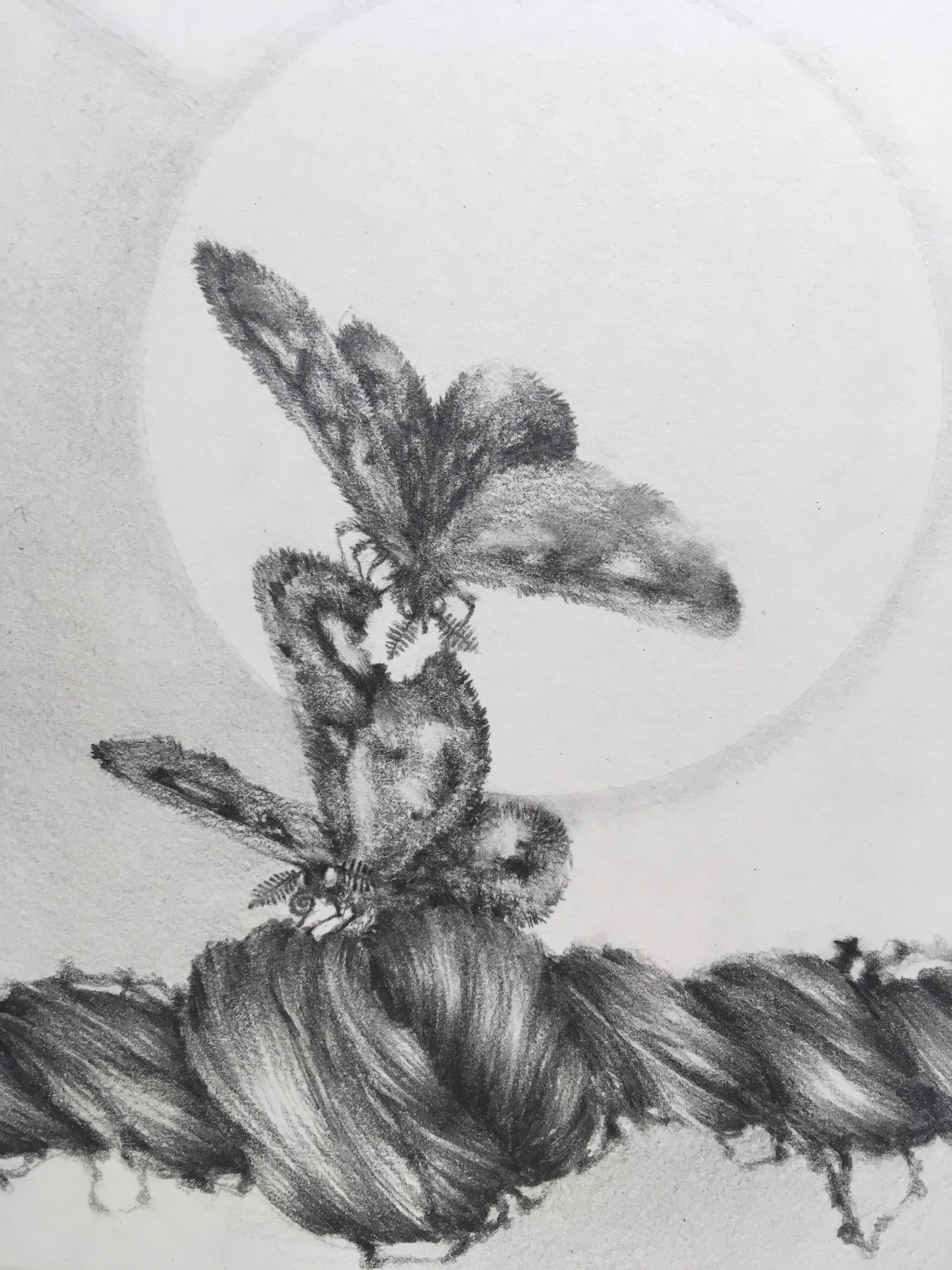 Chapter Fine Focus, Two Moths and Woman's Hair Twist, Small Pencil Drawing For Sale 3