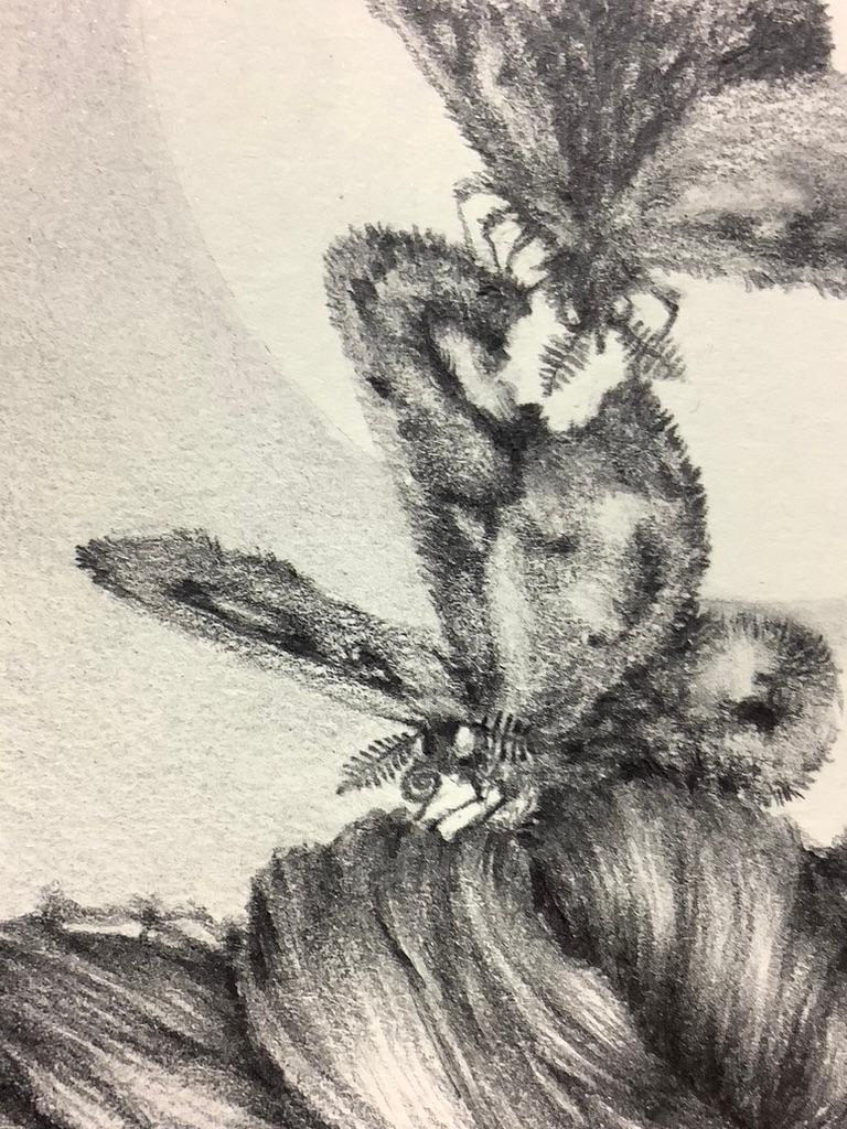Chapter Fine Focus, Two Moths and Woman's Hair Twist, Small Pencil Drawing For Sale 4
