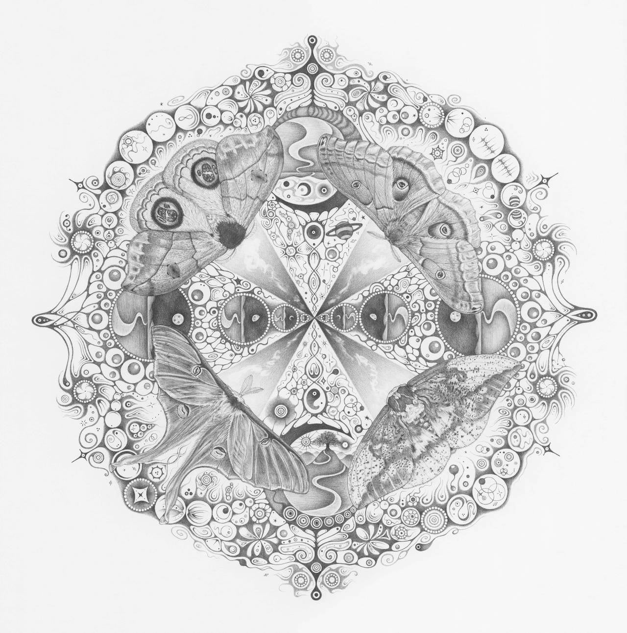 Michiyo Ihara Animal Art – Schneeflocken 139 Zusammenhänge, Moths, Planeten, Muster, Mandala-Bleistiftzeichnung