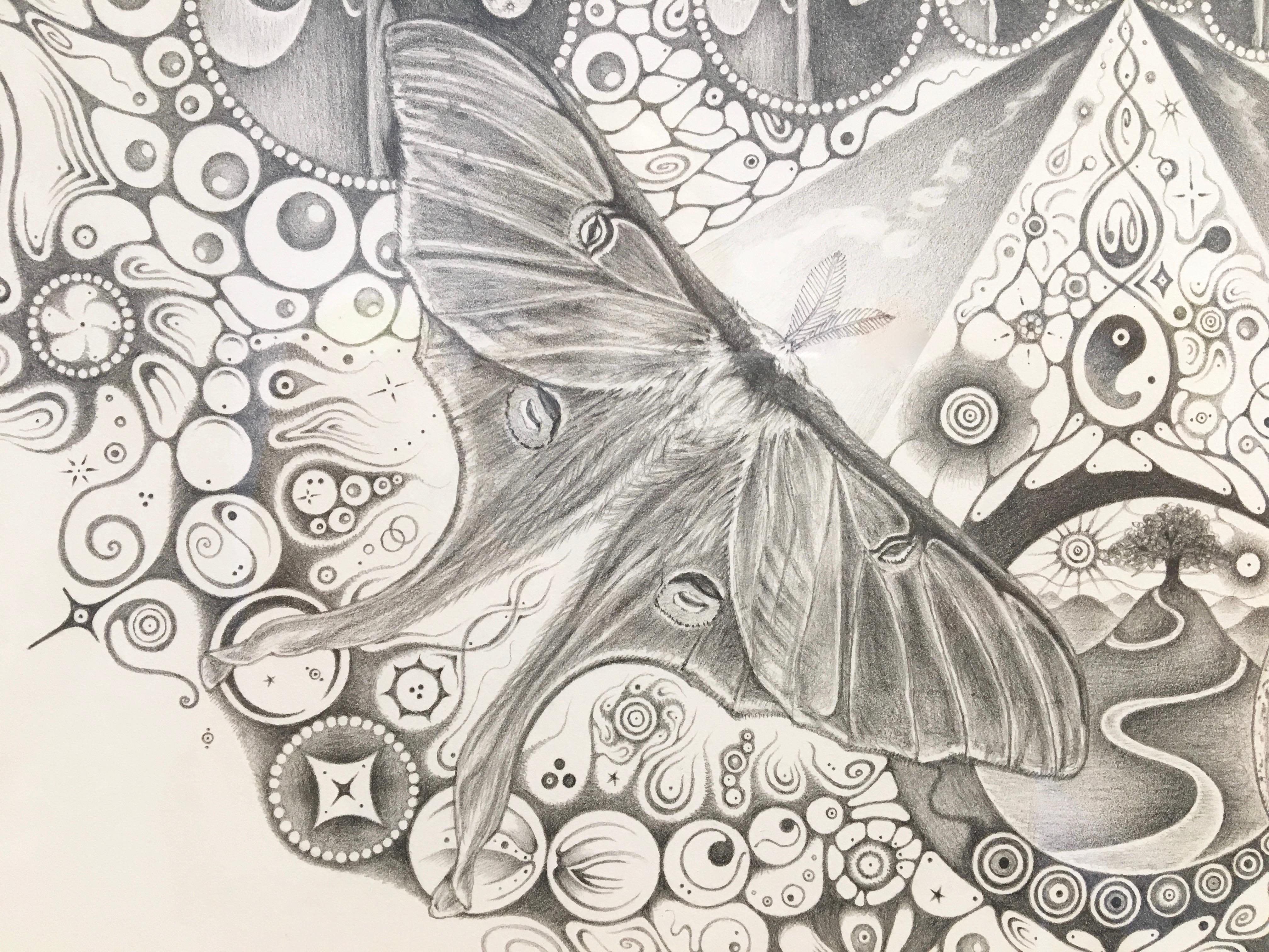 Schneeflocken 139 Zusammenhänge, Moths, Planeten, Muster, Mandala-Bleistiftzeichnung (Zeitgenössisch), Art, von Michiyo Ihara