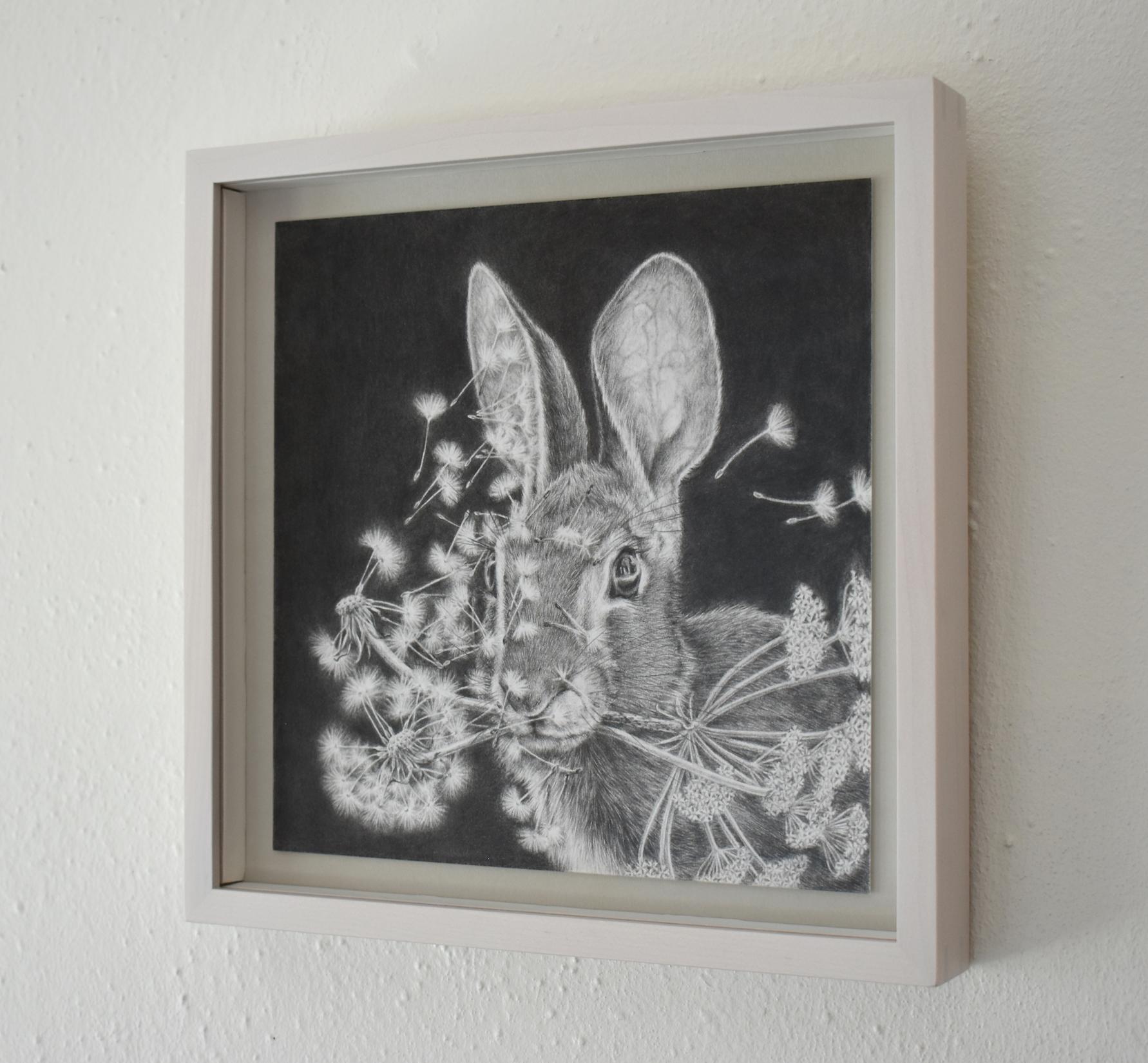 Graphite drawing on Bristol paper of a rabbit surrounded by floating bits of dandelions gone to seed against a dark black background. Fox's excellent use of material allow her to blend multiple images together, creating a seamless image with layers