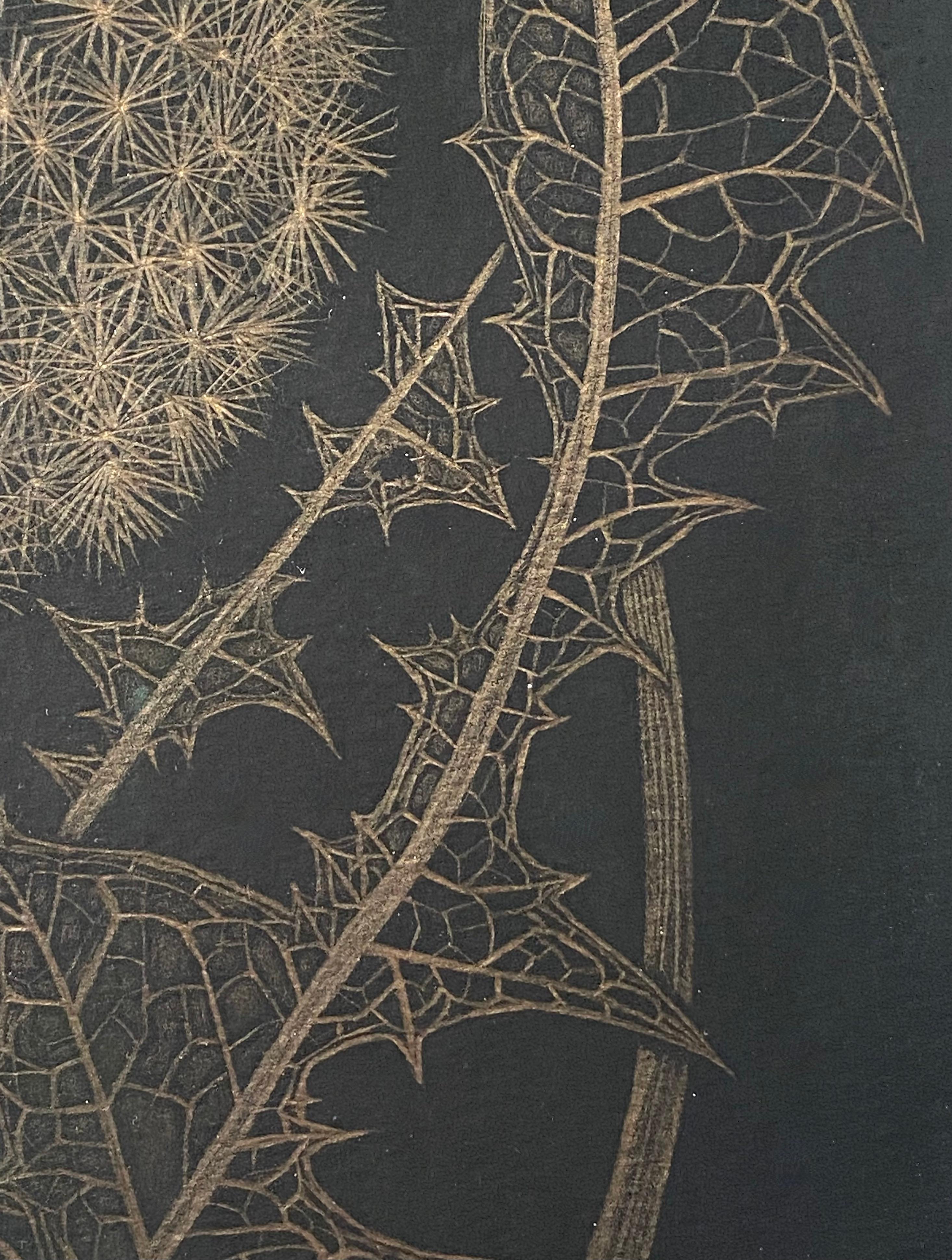 Dandelion mit zwei Knospen, botanische Zeichnung in Metallic-Gold, schwarzes Papier im Angebot 1