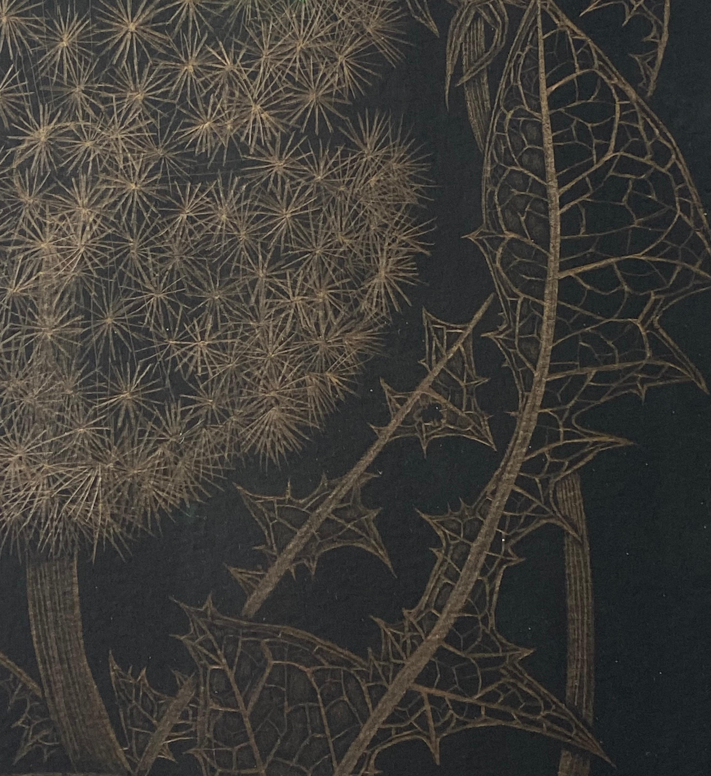 Dandelion mit zwei Knospen, botanische Zeichnung in Metallic-Gold, schwarzes Papier im Angebot 6