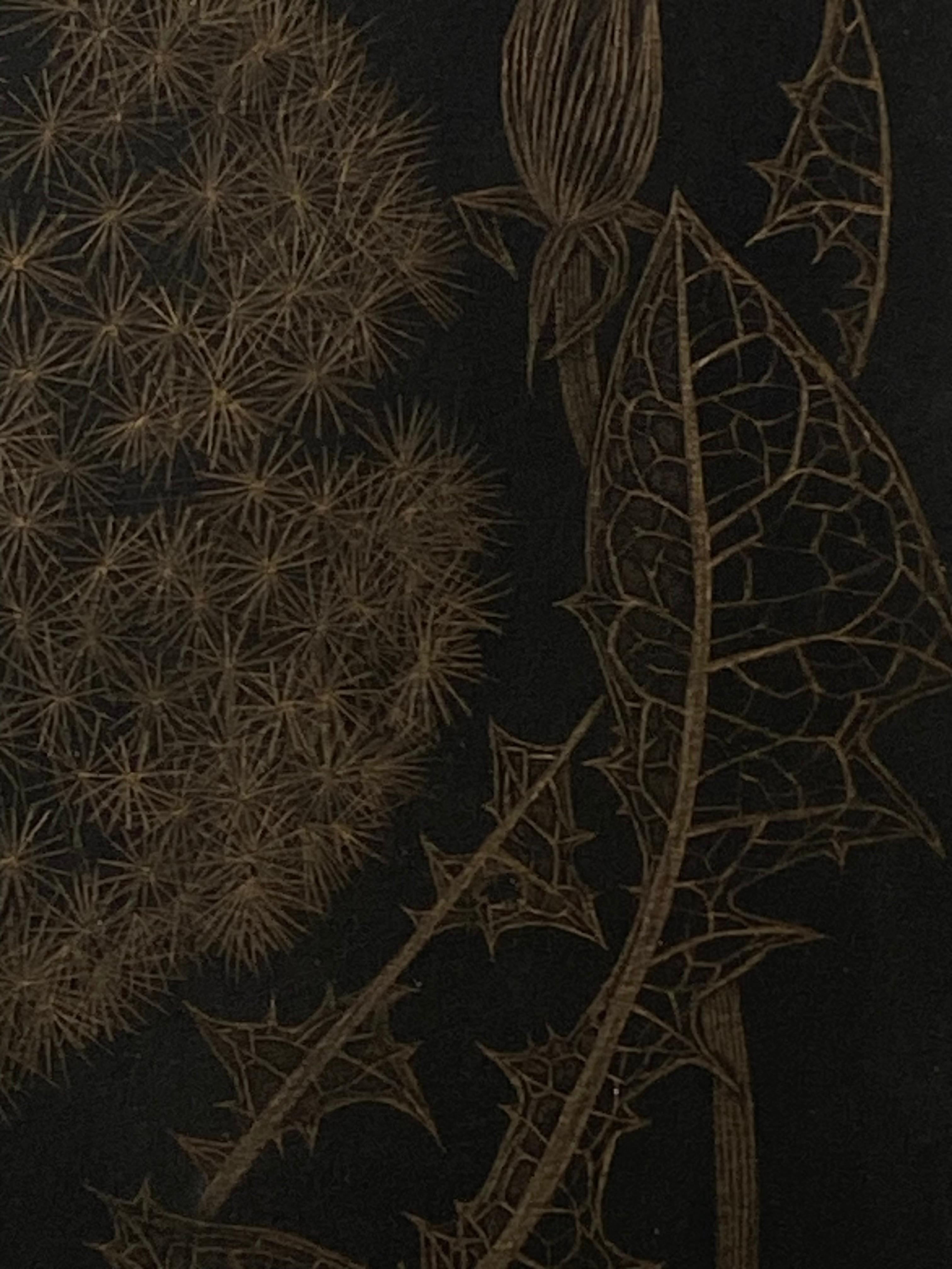 Dandelion mit zwei Knospen, botanische Zeichnung in Metallic-Gold, schwarzes Papier im Angebot 7