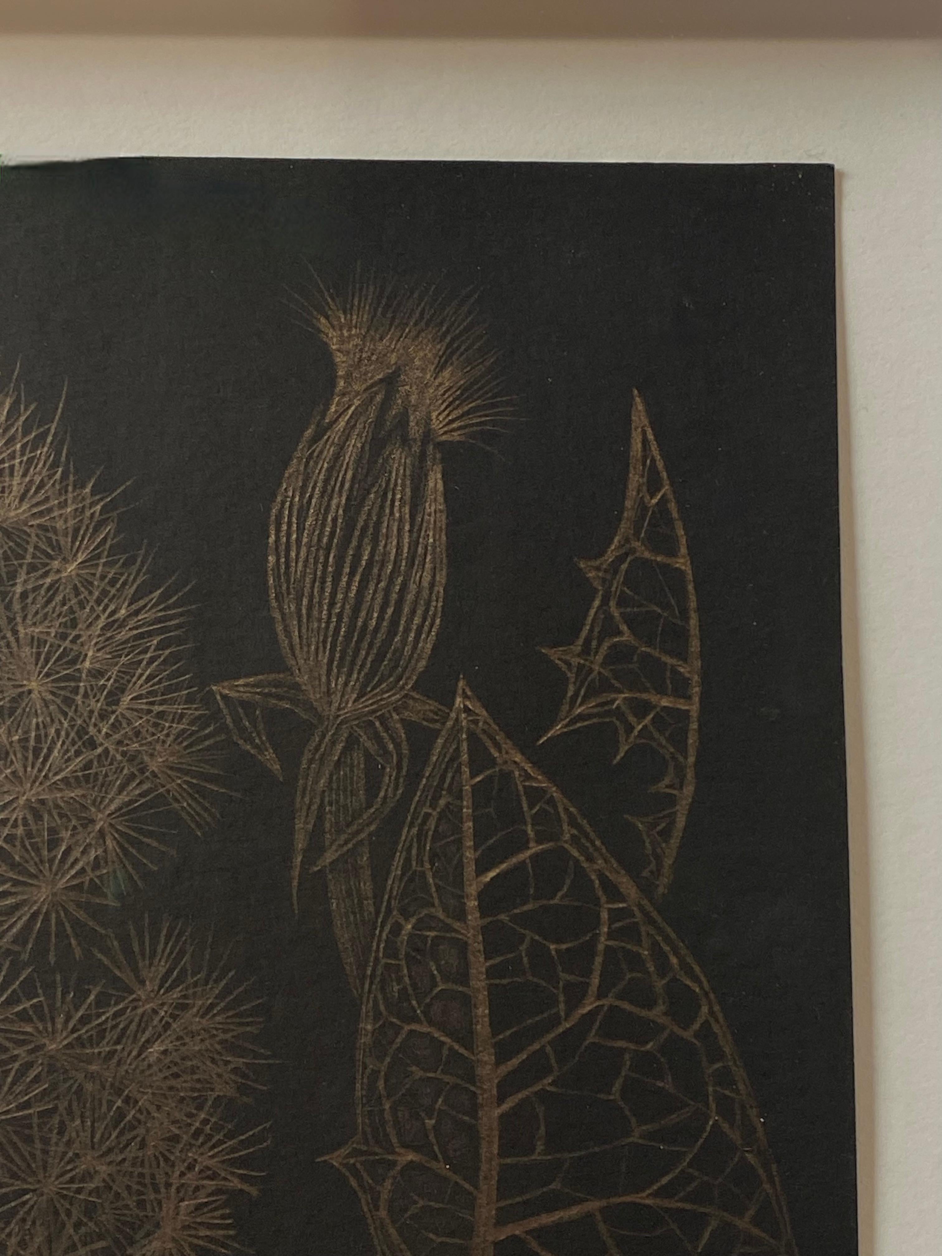 Dandelion mit zwei Knospen, botanische Zeichnung in Metallic-Gold, schwarzes Papier im Angebot 10