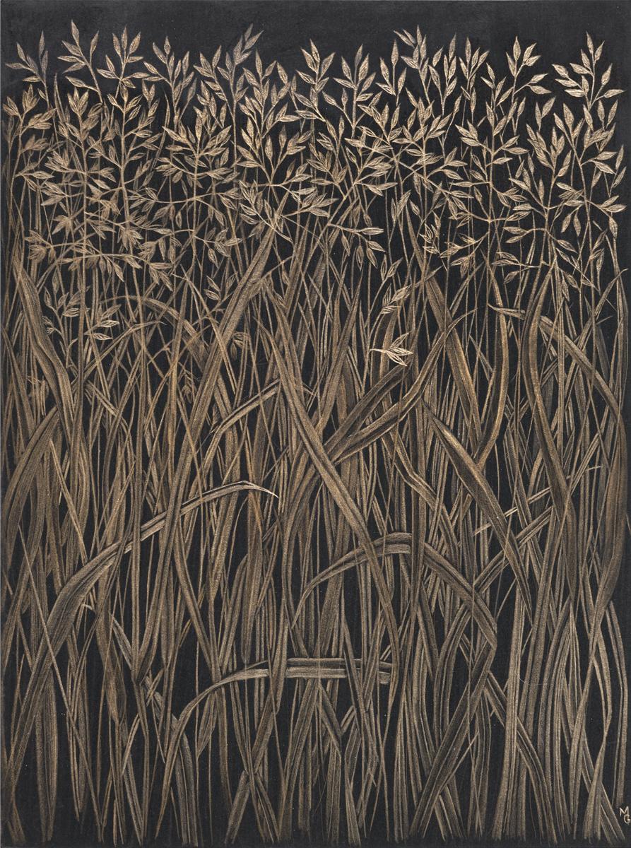 Margot Glass Landscape Art – Field Grasses, Metallic Gold Botanical Zeichnung, Gras, Schwarzes Papier, botanische Zeichnung