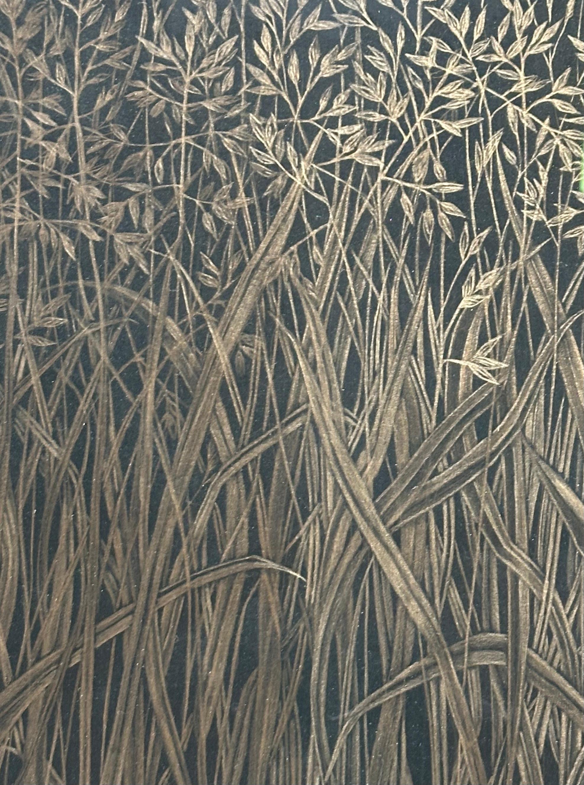 Diese zarte botanische Zeichnung wurde mit 14-karätigem Gold auf schwarzem Papier angefertigt. Die Erforschung der Vergänglichkeit und der Zerbrechlichkeit von Feldgräsern steht im Mittelpunkt dieser Zeichnung von Margot Glass. Die exquisite