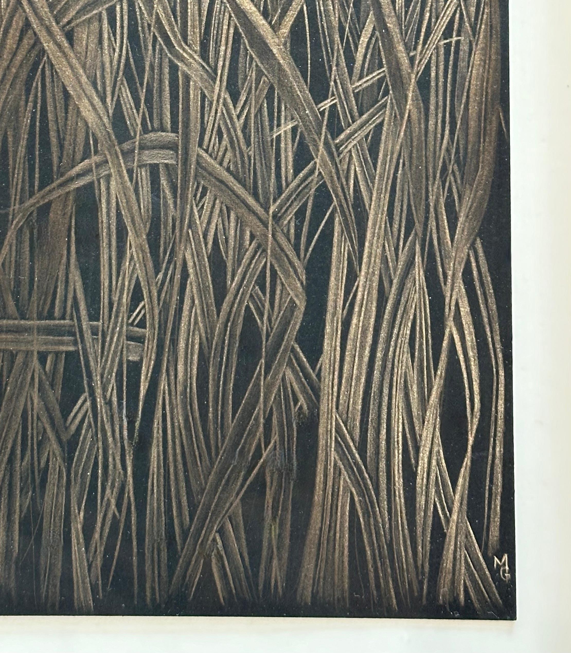 Field Grasses, Metallic Gold Botanical Zeichnung, Gras, Schwarzes Papier, botanische Zeichnung im Angebot 2