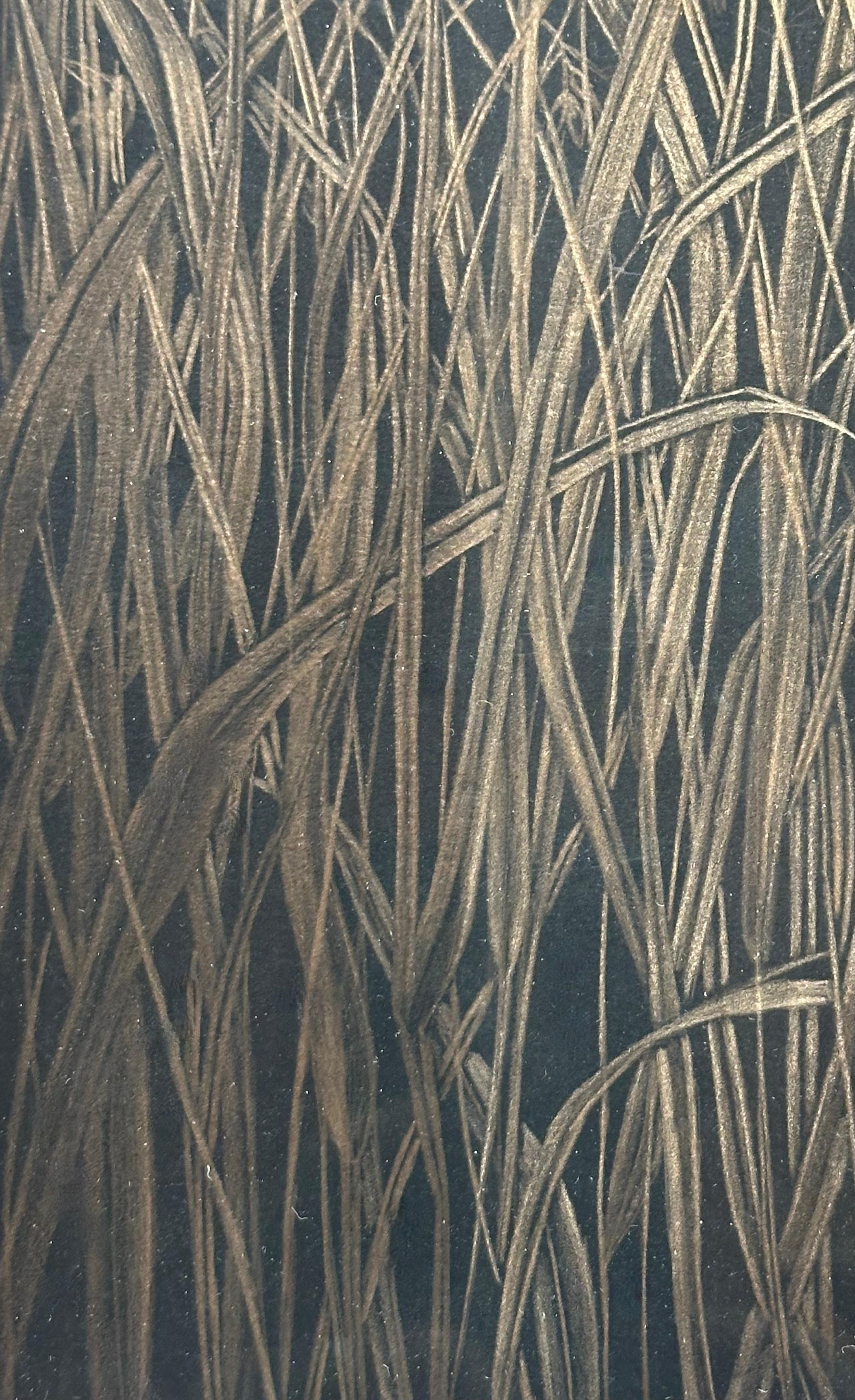 Field Grasses, Metallic Gold Botanical Zeichnung, Gras, Schwarzes Papier, botanische Zeichnung im Angebot 1
