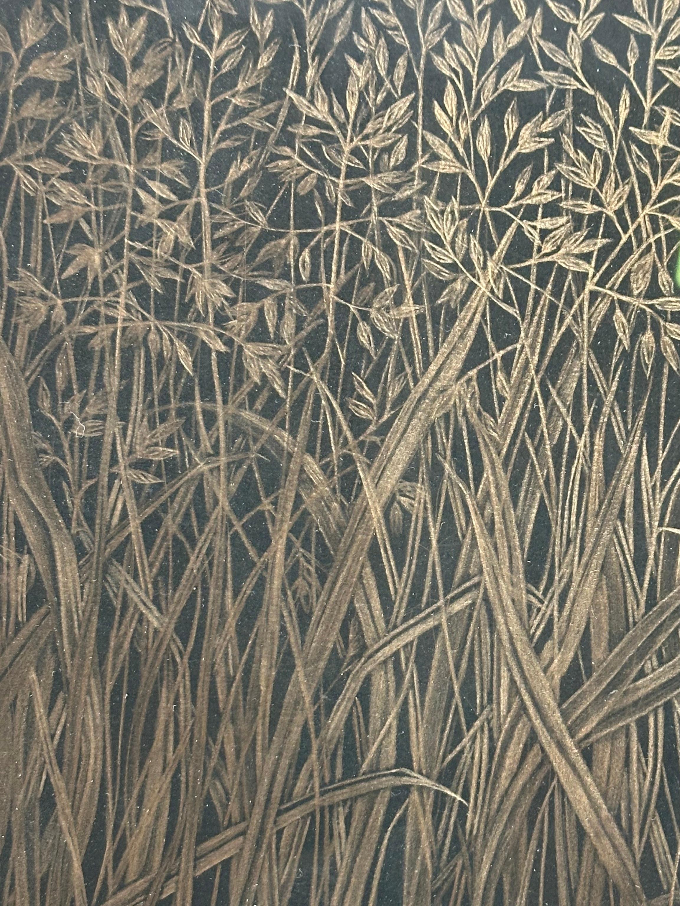 Field Grasses, Metallic Gold Botanical Zeichnung, Gras, Schwarzes Papier, botanische Zeichnung (Zeitgenössisch), Art, von Margot Glass