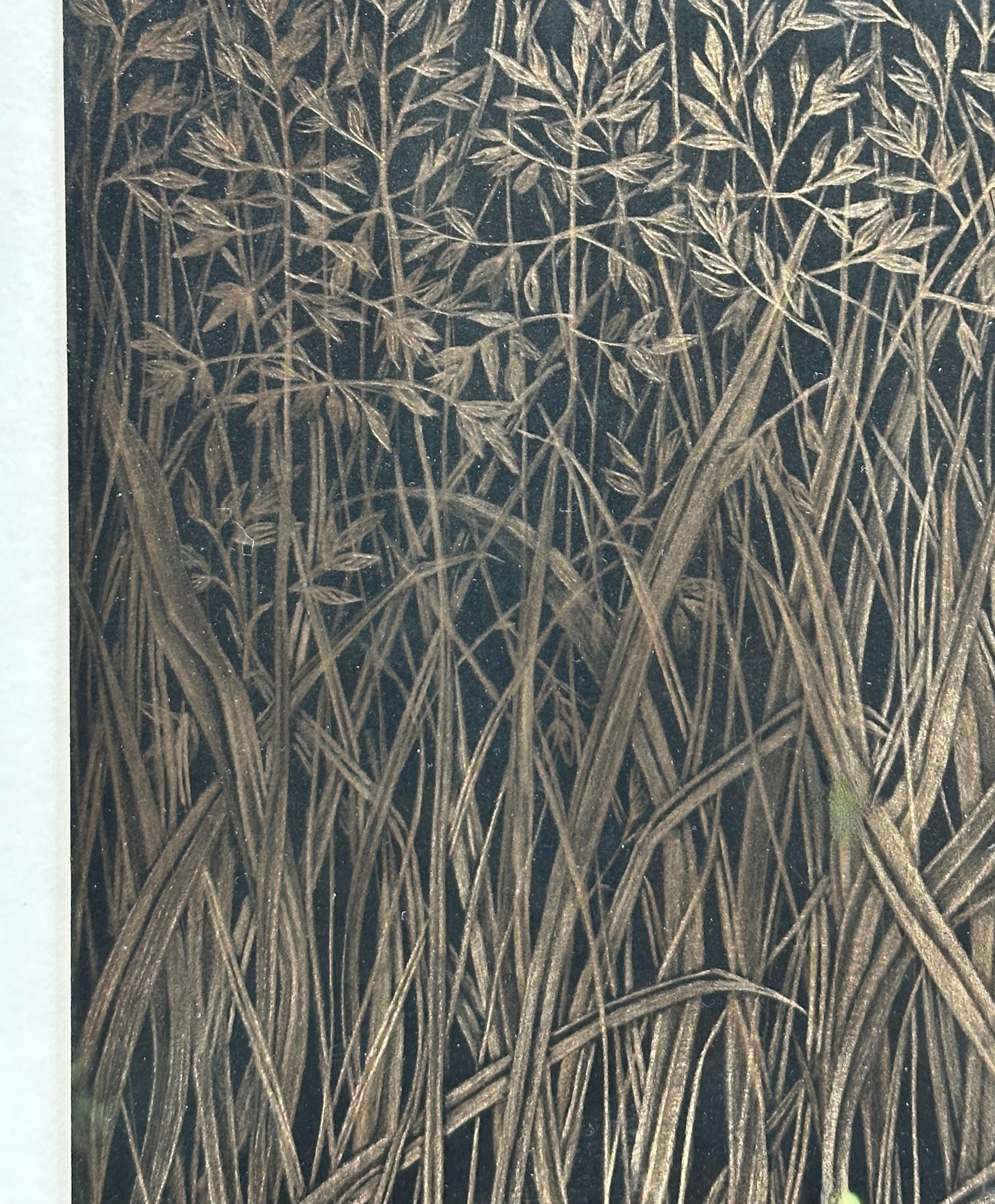 Field Grasses, Metallic Gold Botanical Zeichnung, Gras, Schwarzes Papier, botanische Zeichnung – Art von Margot Glass
