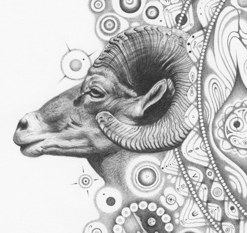 Snowflakes 154 Inward Harmony, Mandala Drawing, Nature, Ram Head, OM, Aries - Gray Abstract Drawing by Michiyo Ihara