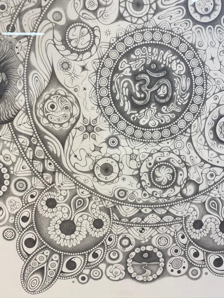 Snowflakes 154 Inward Harmony, Mandala Drawing, Nature, Ram Head, OM, Aries For Sale 2