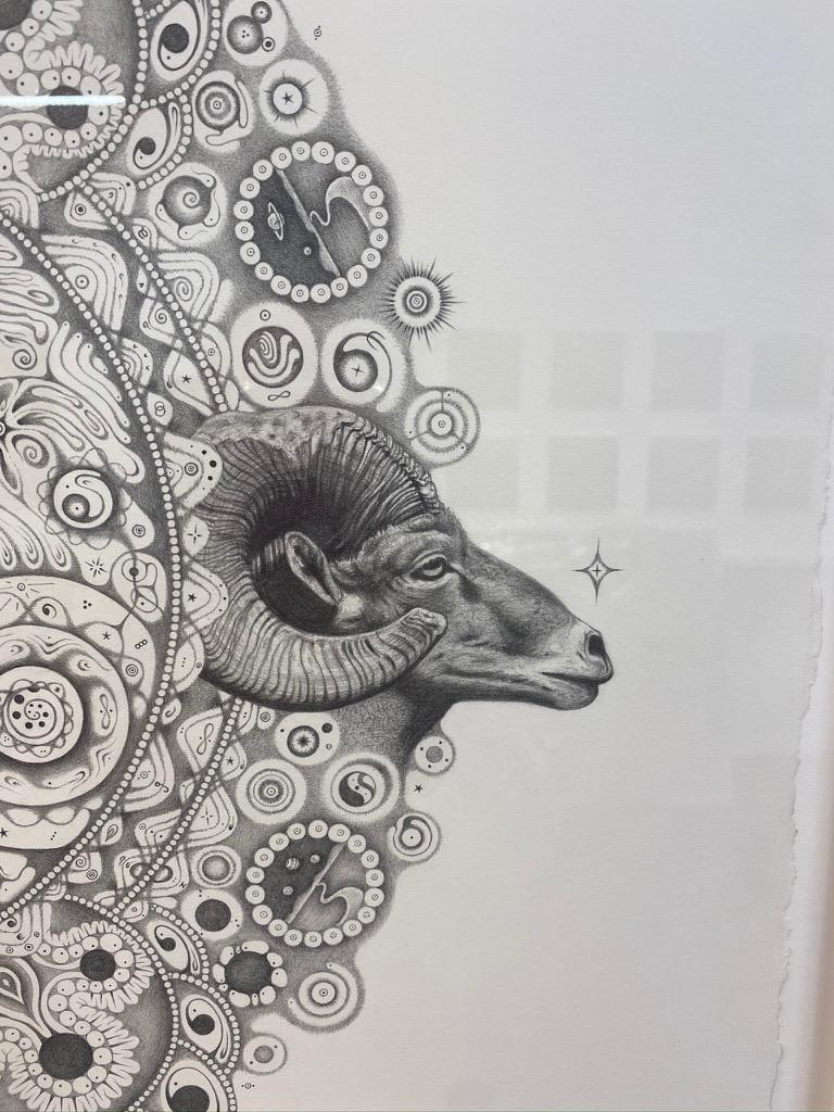Snowflakes 154 Inward Harmony, Mandala Drawing, Nature, Ram Head, OM, Aries For Sale 4
