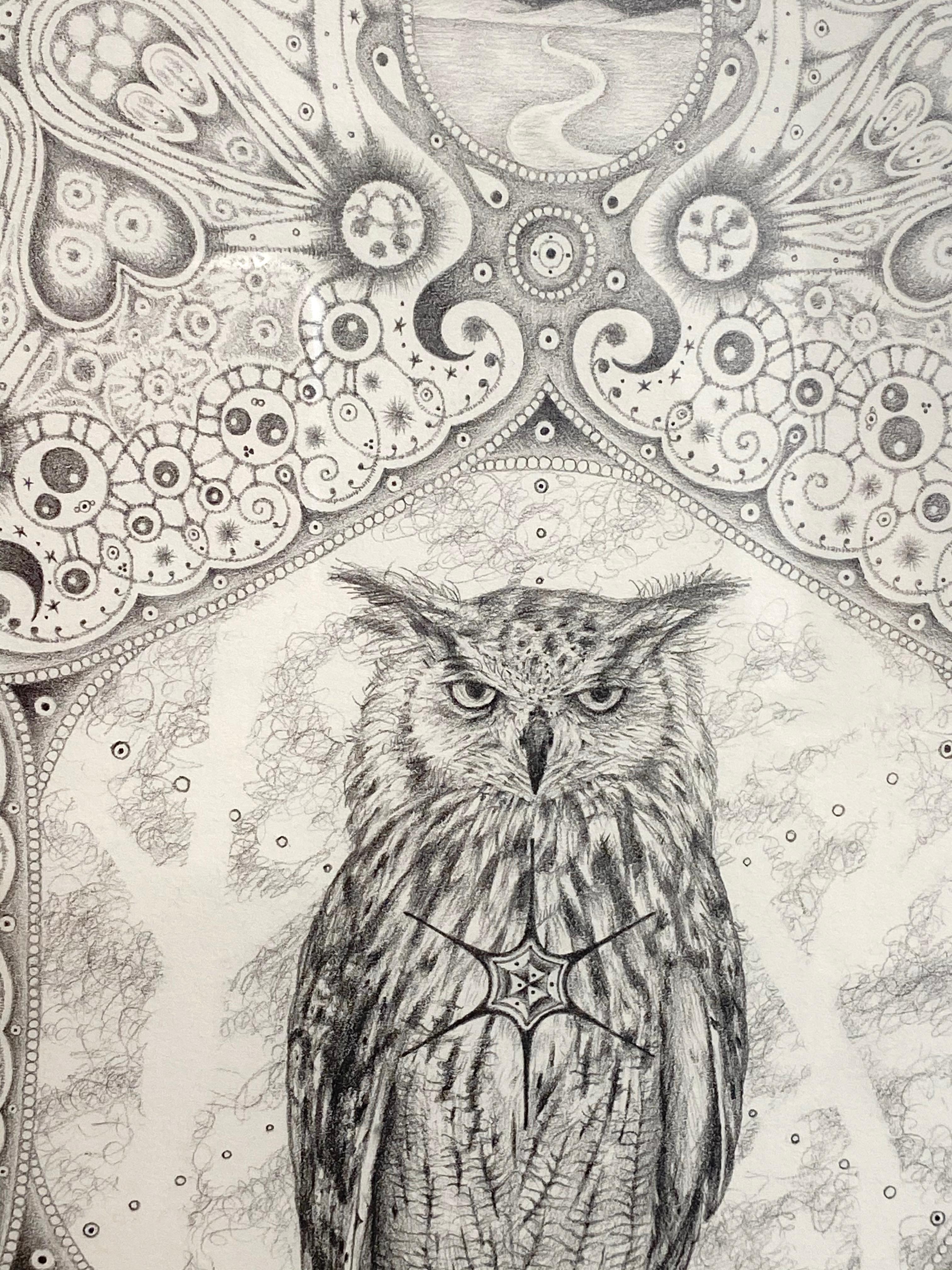 Un búho meticulosamente representado en el centro de este dibujo de grafito es la característica destacada de este mandala. Muchas culturas asocian los búhos con la sabiduría, la intuición y el buen juicio, un símbolo muy extendido del conocimiento