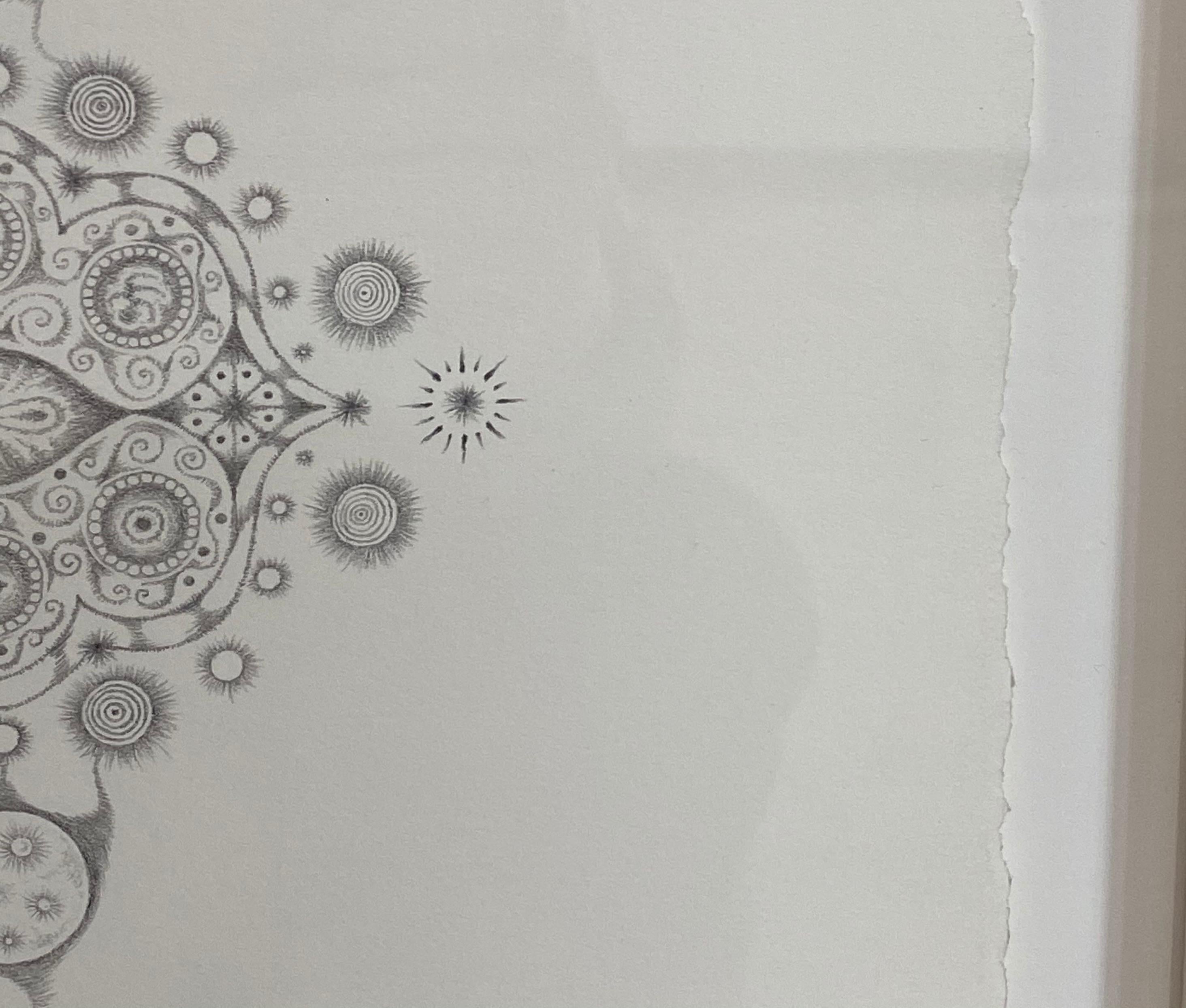 Copos de Nieve 84 Forester, Dibujo a Lápiz Mandala, Búho, Imágenes Cósmicas, Paisajes en venta 4
