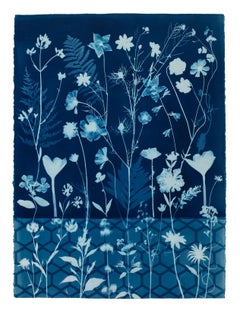 Pittura cianotipica - Fiori botanici contemporanei cianotipici blu, piante, 2021
