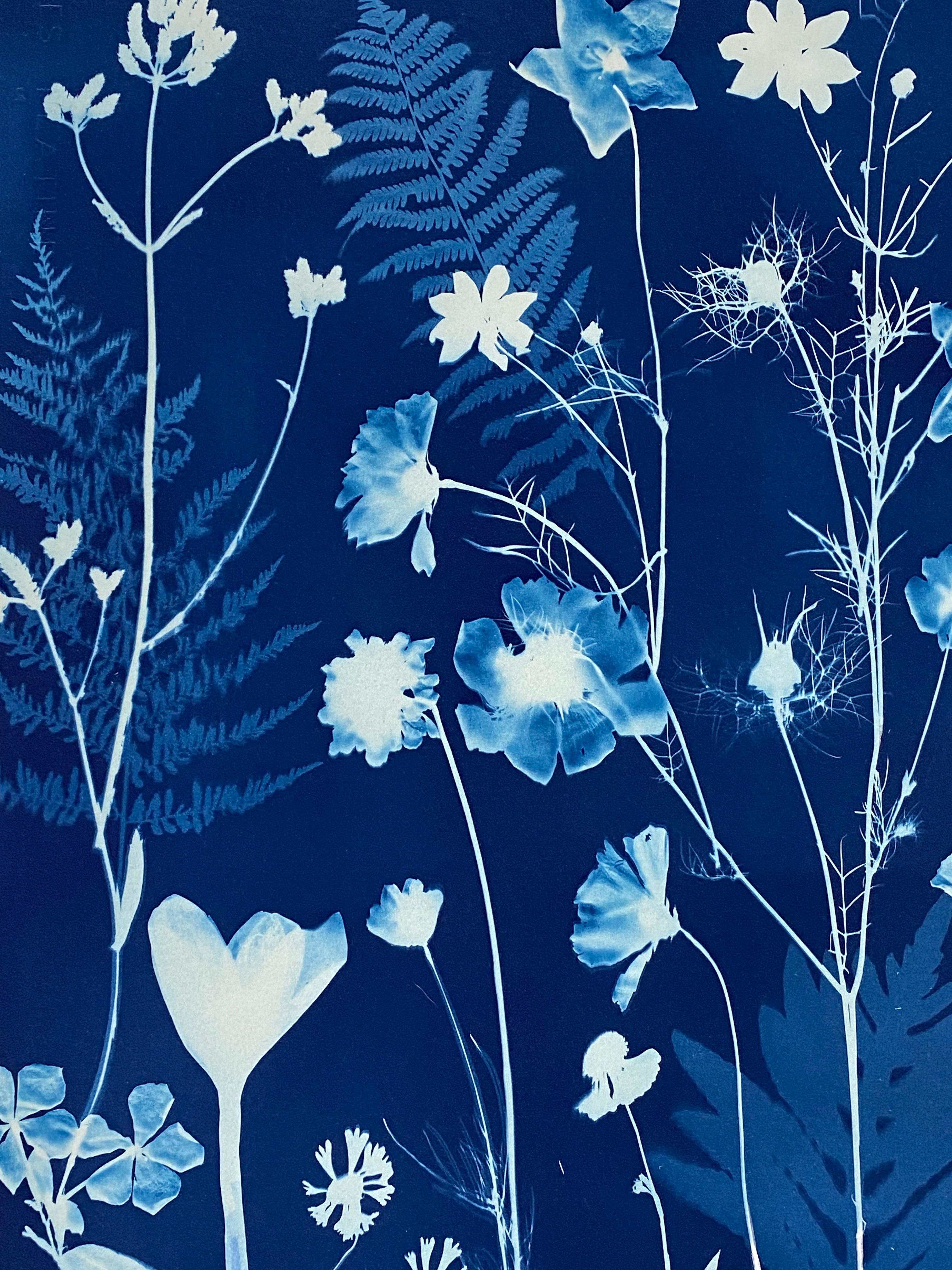Pittura cianotipica - Fiori botanici contemporanei cianotipici blu, piante, 2021 4