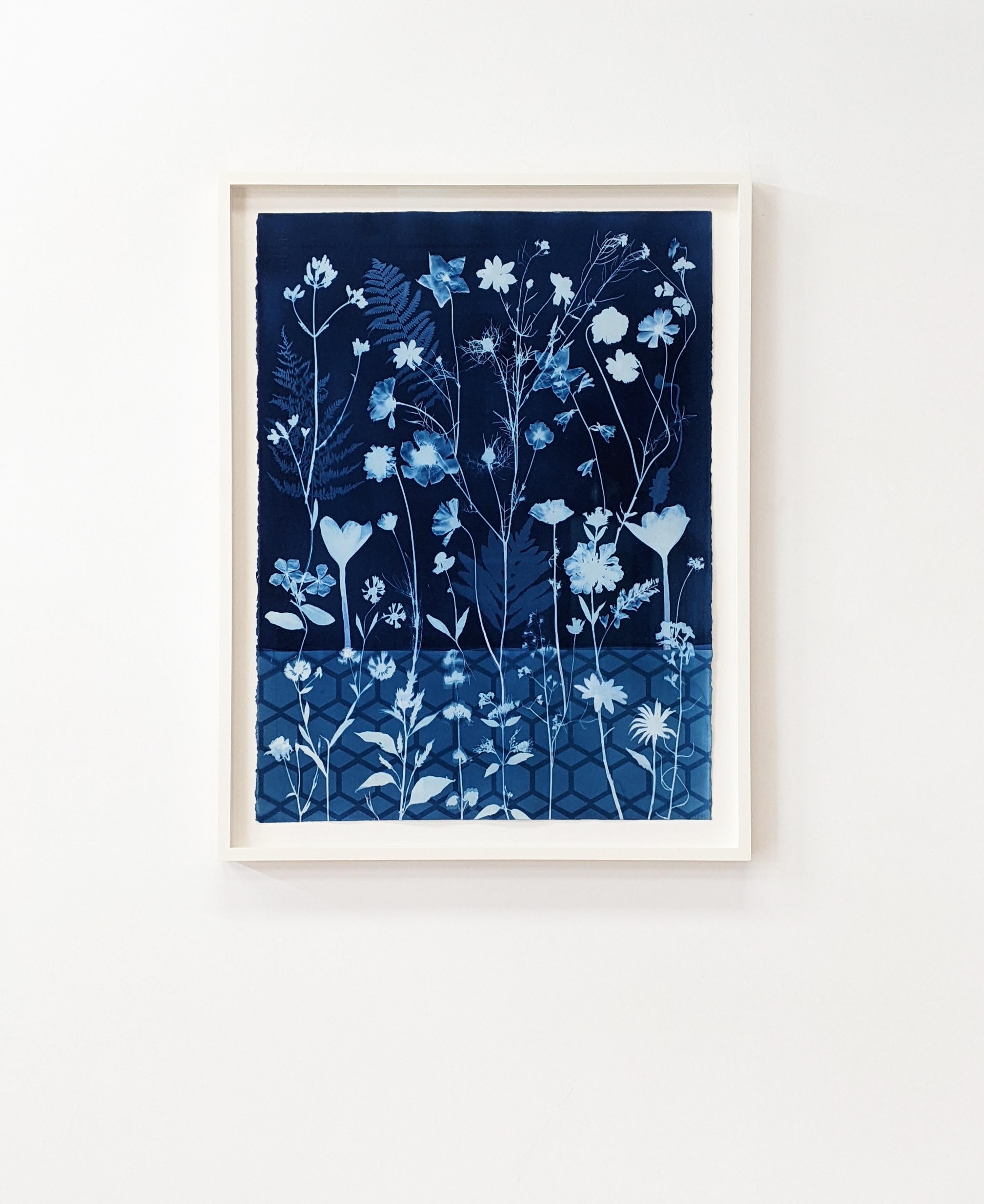 Pittura cianotipica - Fiori botanici contemporanei cianotipici blu, piante, 2021 15