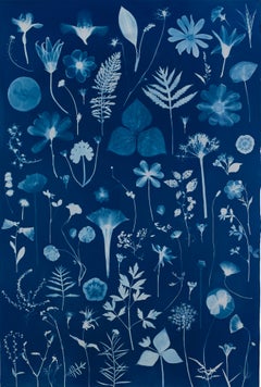 Erbario galleggiante - Pittura botanica in cianotipia Fiori blu indaco, 2022