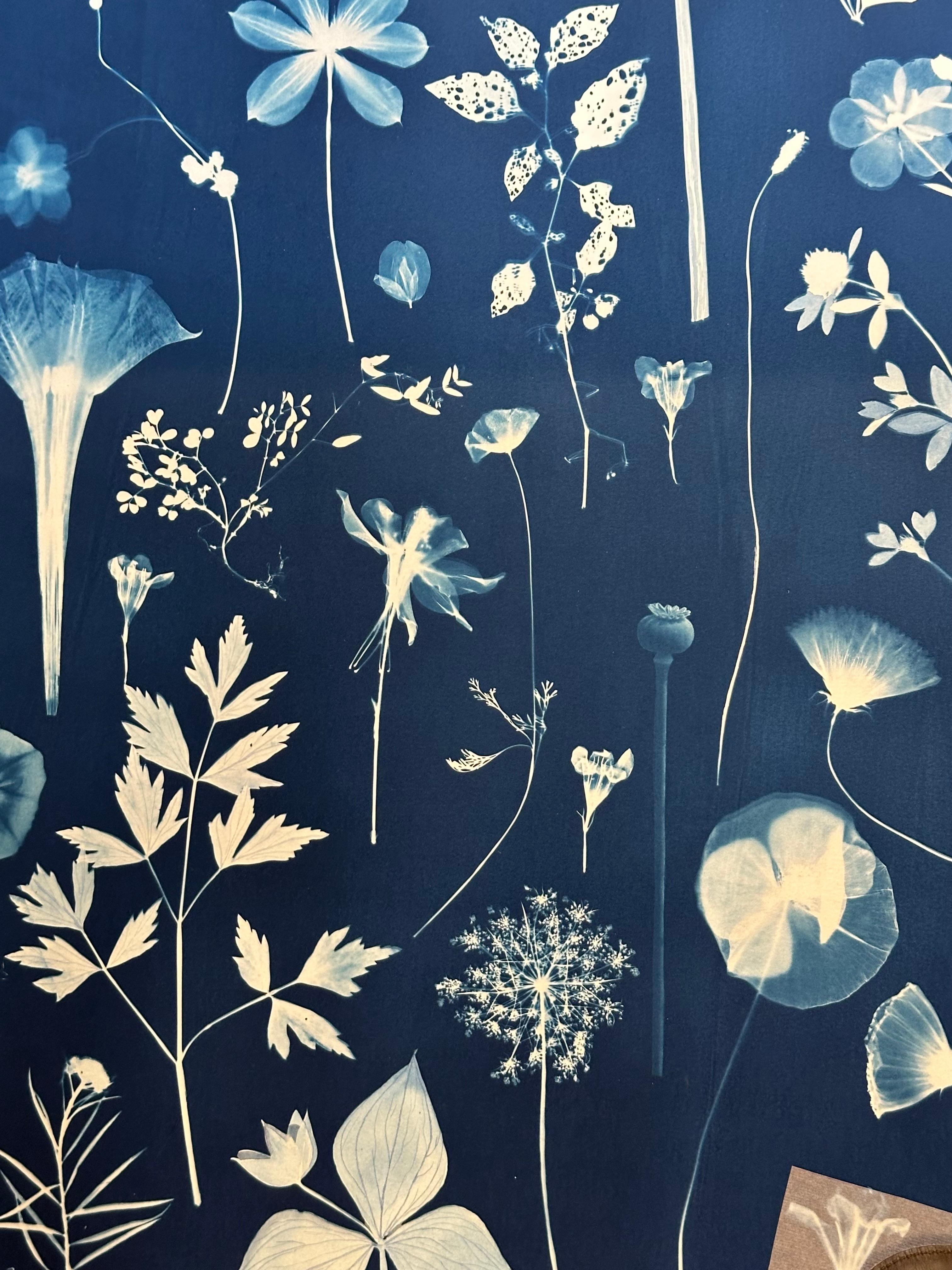 In questo dipinto botanico in cianotipia realizzato con acquerello, inchiostro, gouache e cianotipia su carta platino Arches, fiori meticolosamente dettagliati, tra cui crocus, fiori di stella, cosmos e felci, sono raffigurati in tonalità di blu