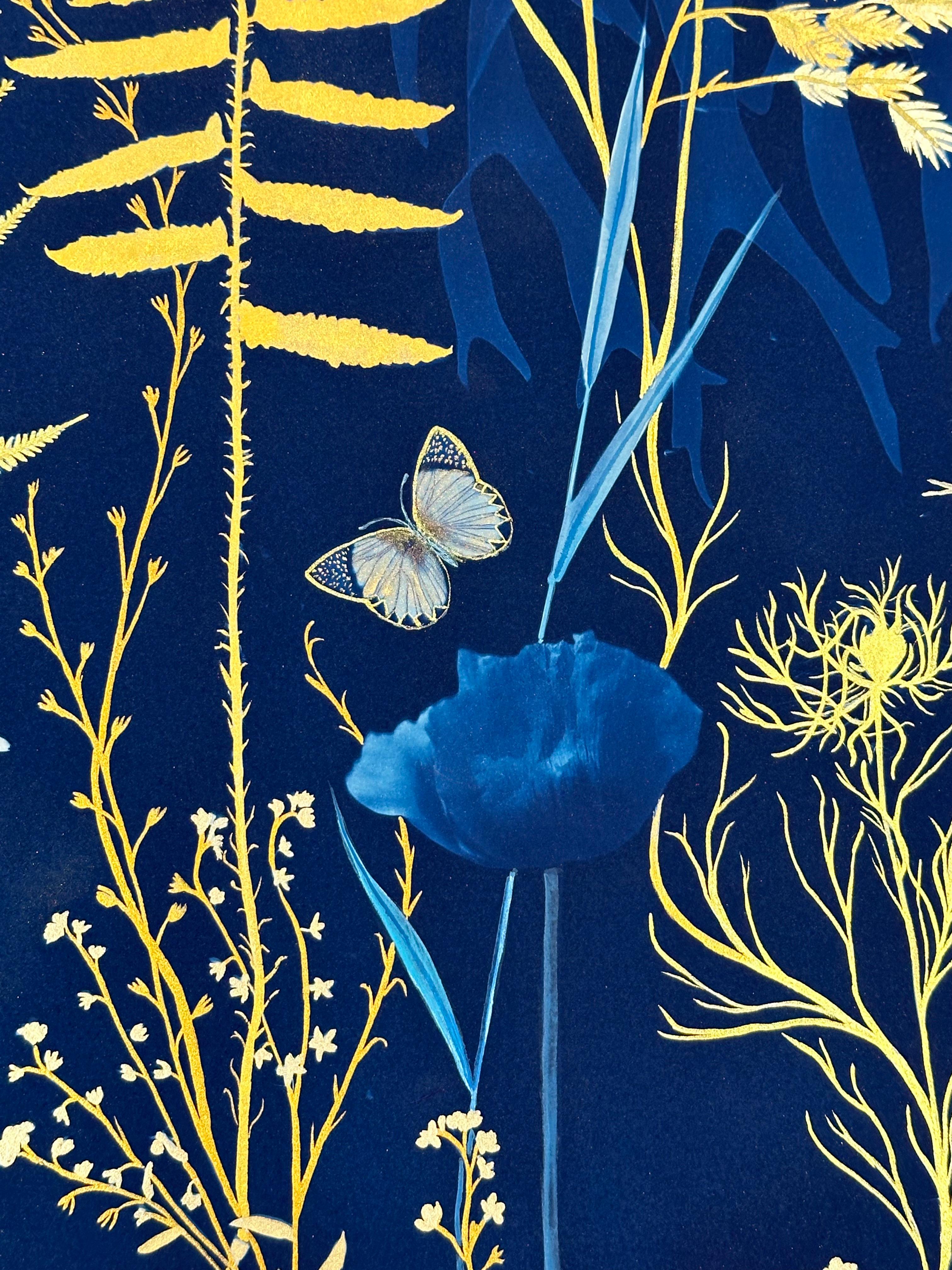 Felci Gold Flora - Pittura botanica in cianotipia Fiori blu Felci, 2021-'24 - Art Contemporaneo di Julia Whitney Barnes