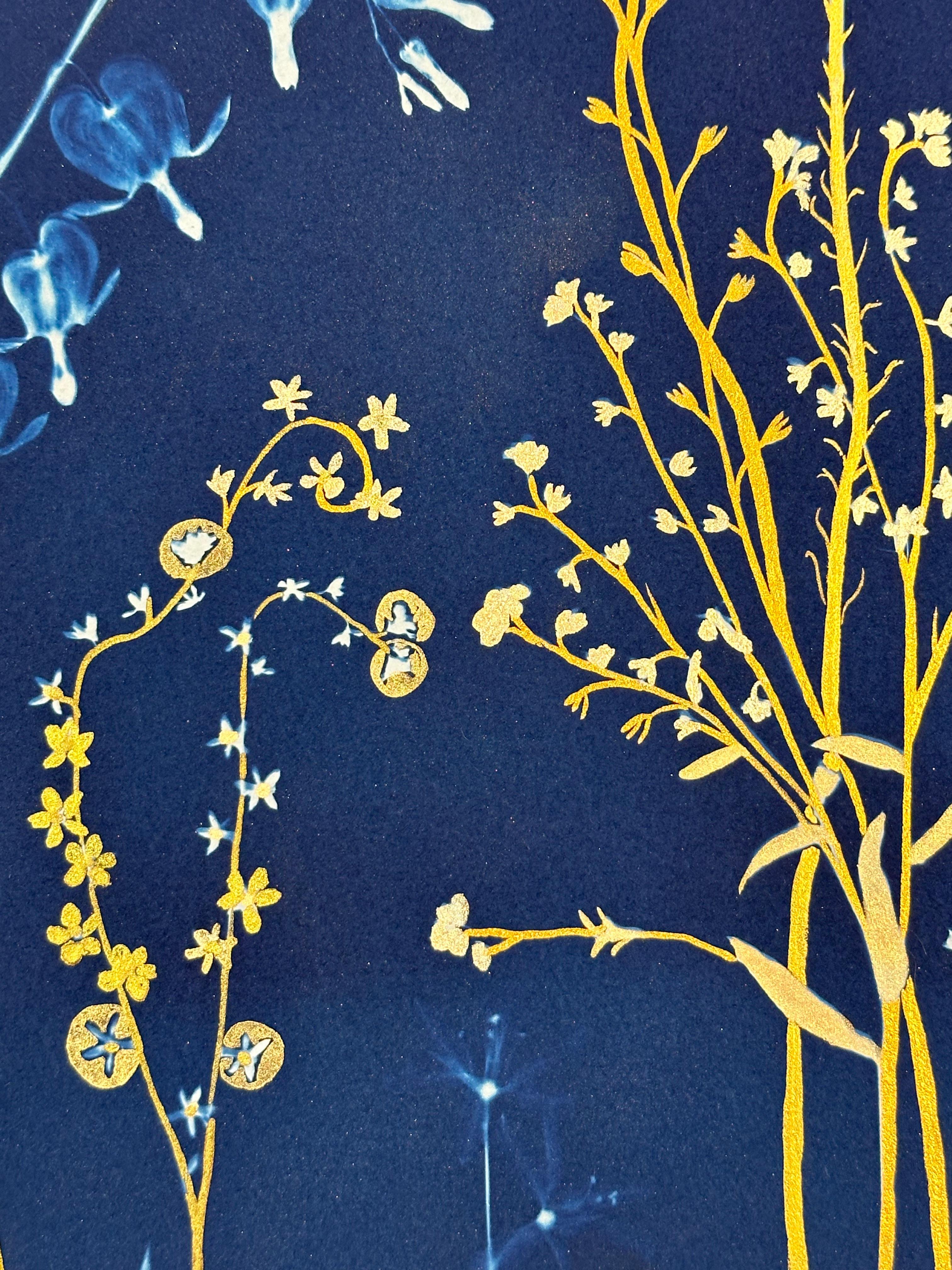 Felci Gold Flora - Pittura botanica in cianotipia Fiori blu Felci, 2021-'24 1