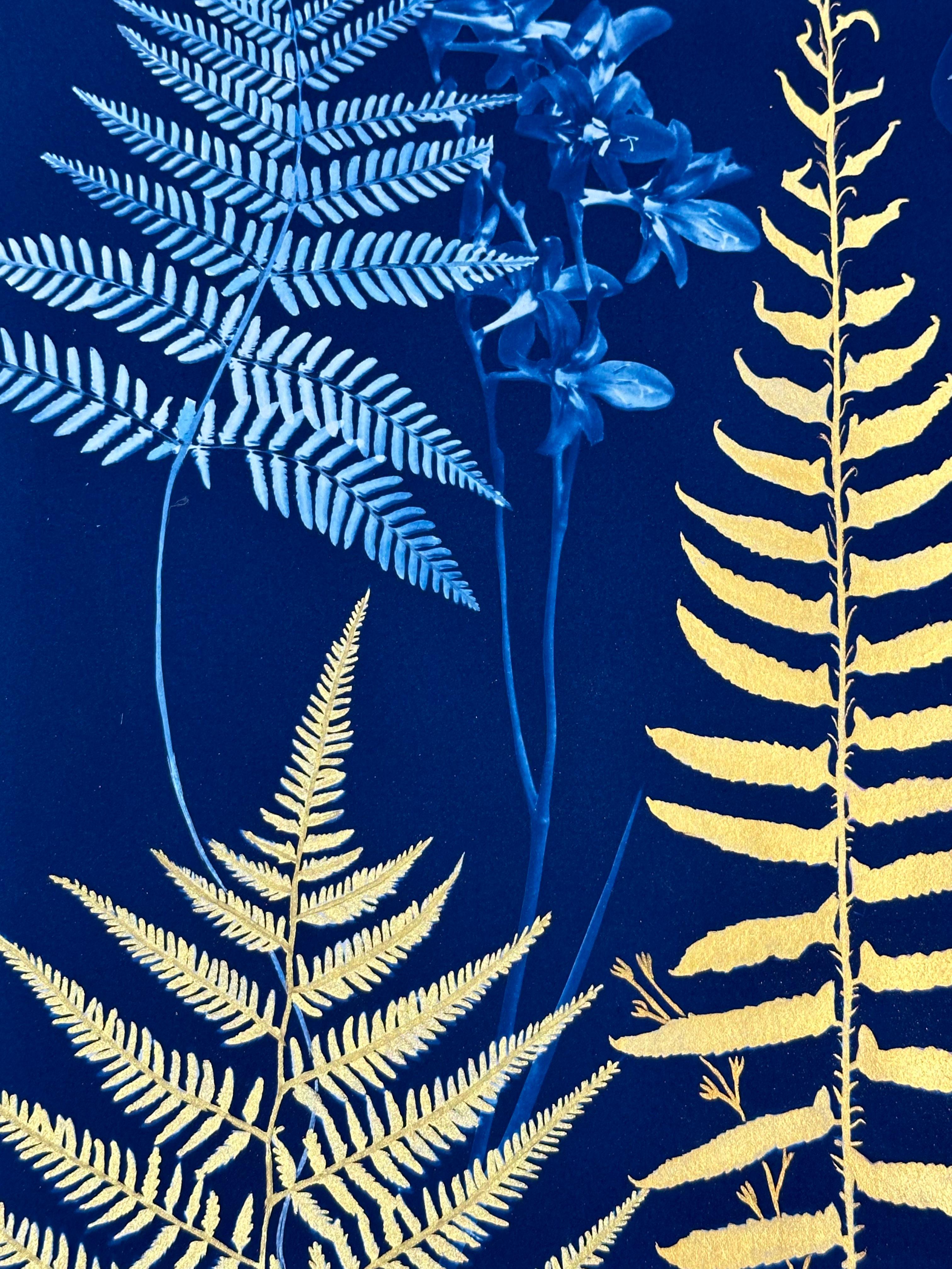 In questo dipinto botanico in cianotipia realizzato con acquerello, inchiostro, gouache e cianotipia su carta platino Arches, fiori e piante meticolosamente dettagliati, tra cui crocus, fiori di stella, cosmos e felci, sono raffigurati in tonalità